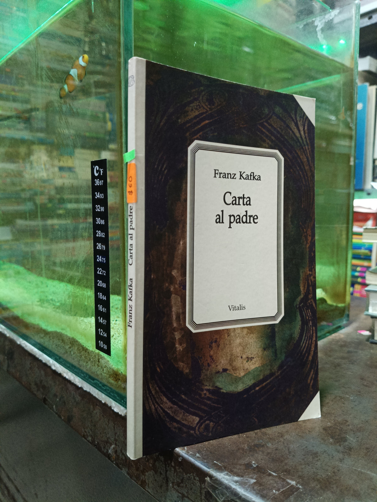 CARTA AL PADRE POR FRANZ KAFKA USADO NOVELA ALDAMA
