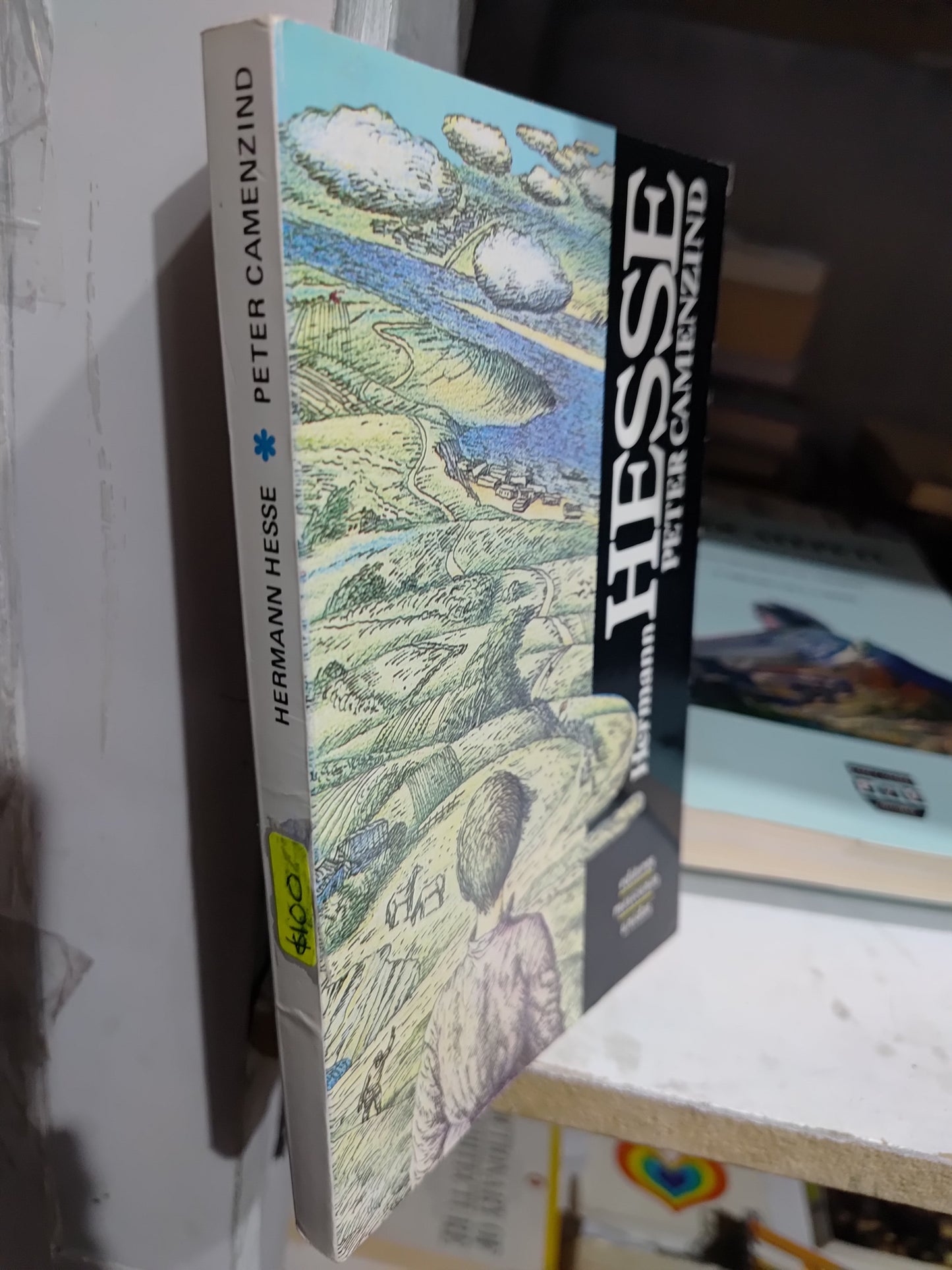 PETER CAMENZIND POR HERMAN HESSE USADO NOVELAS JUAREZ