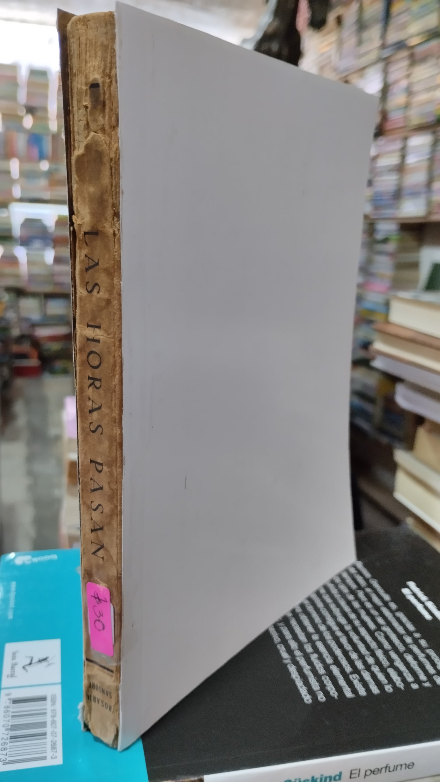 LAS HORAS PASAN POR ROSARIO SANSORES LIBRO USADO NOVELAS ALDAMA