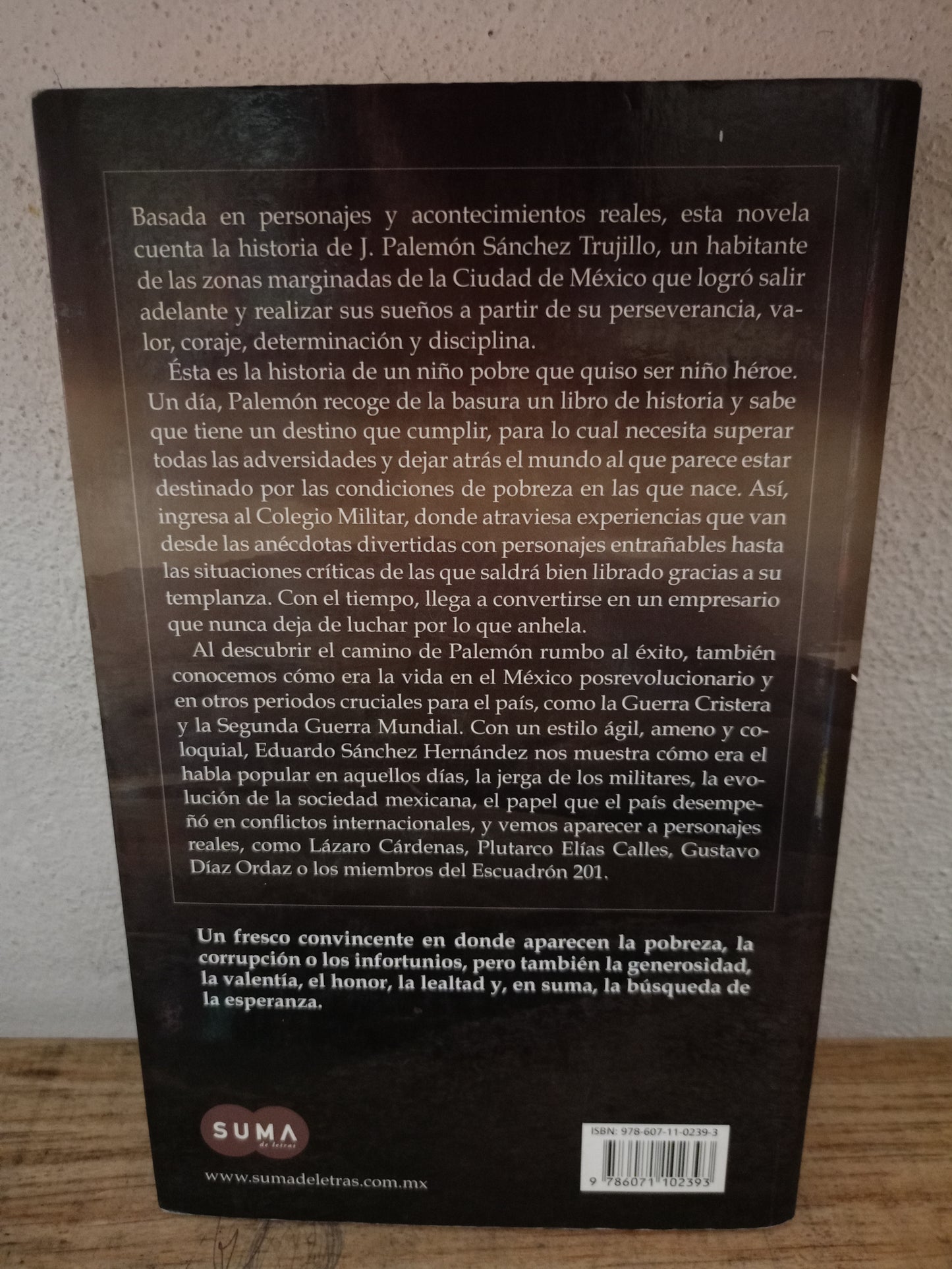 PALEMÓN POR EDUARDO SÁNCHEZ HERNÁNDEZ USADO NOVELA LITERARIO 305