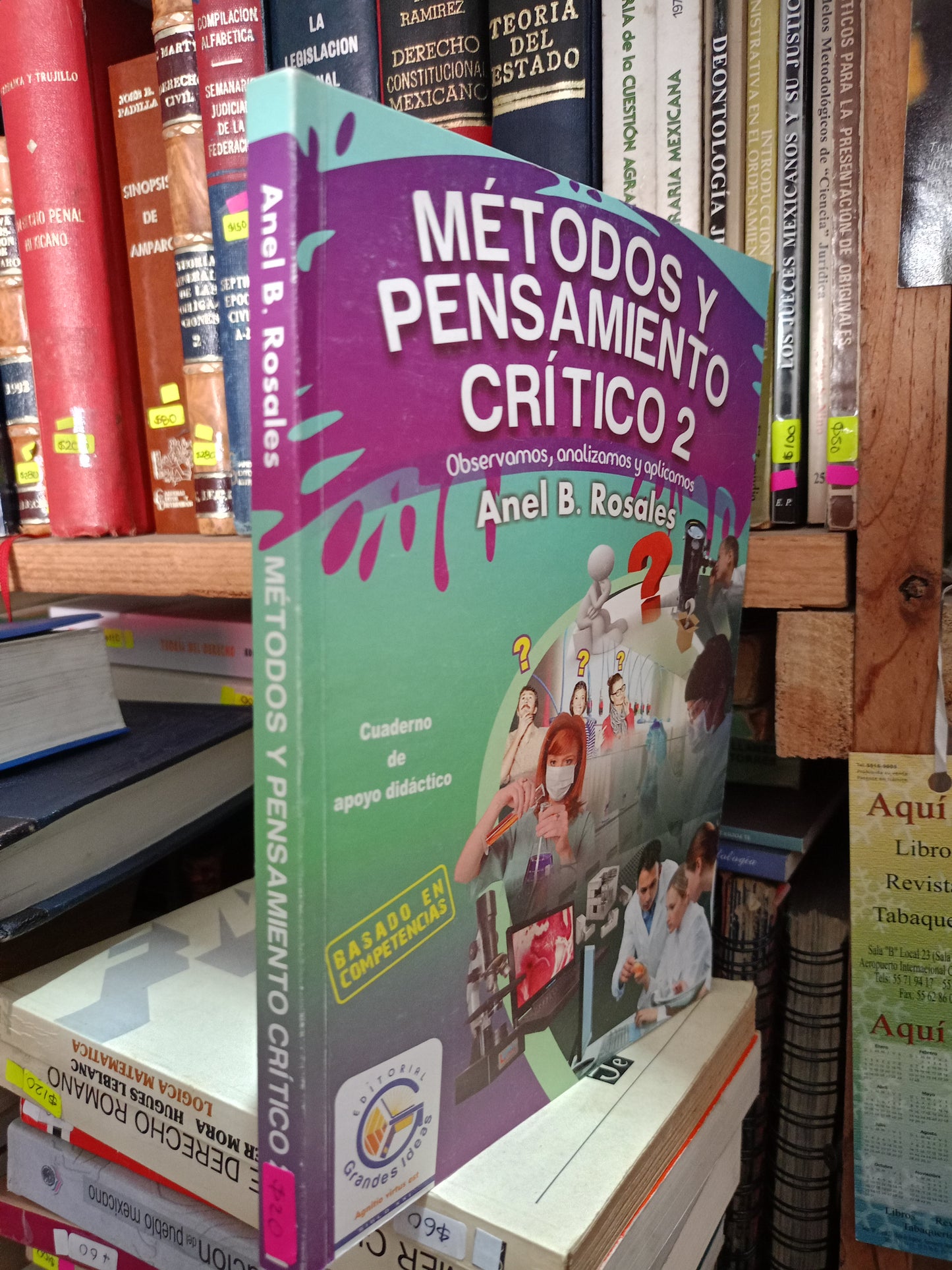 METODOS Y PENSAMIENTO CRITICO 2 POR ANEL B  ROSALES USADO EDUCACIÓN LITERARIO 305