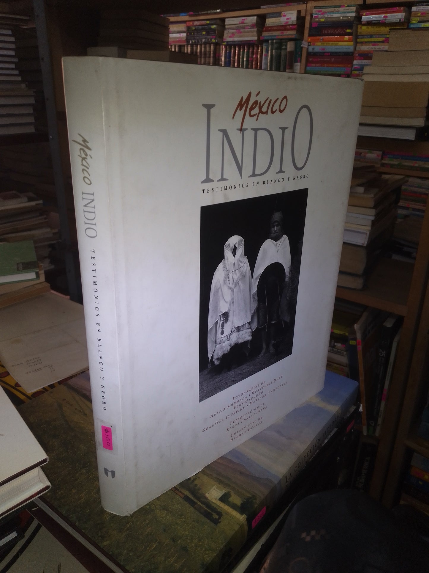 MÉXICO INDIO: TESTIMONIOS EN BLANCO Y NEGRO (VARIOS AUTORES) USADO ARTE LITERARIO 207
