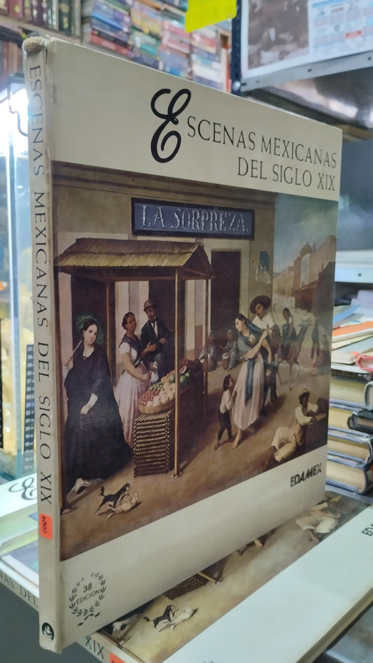 ESCENAS MEXICANAS DEL SIGLO XIX LIBRO USADO ARTE ALDAMA