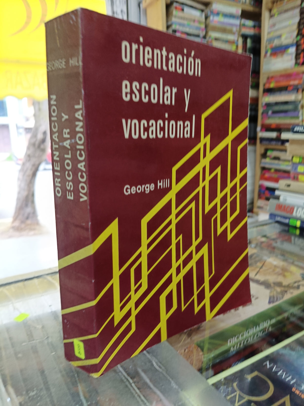 ORIENTACION ESCOLAR Y VACACIONAL POR GEORGE HILL USADO PSICOLOGIA JUAREZ 507