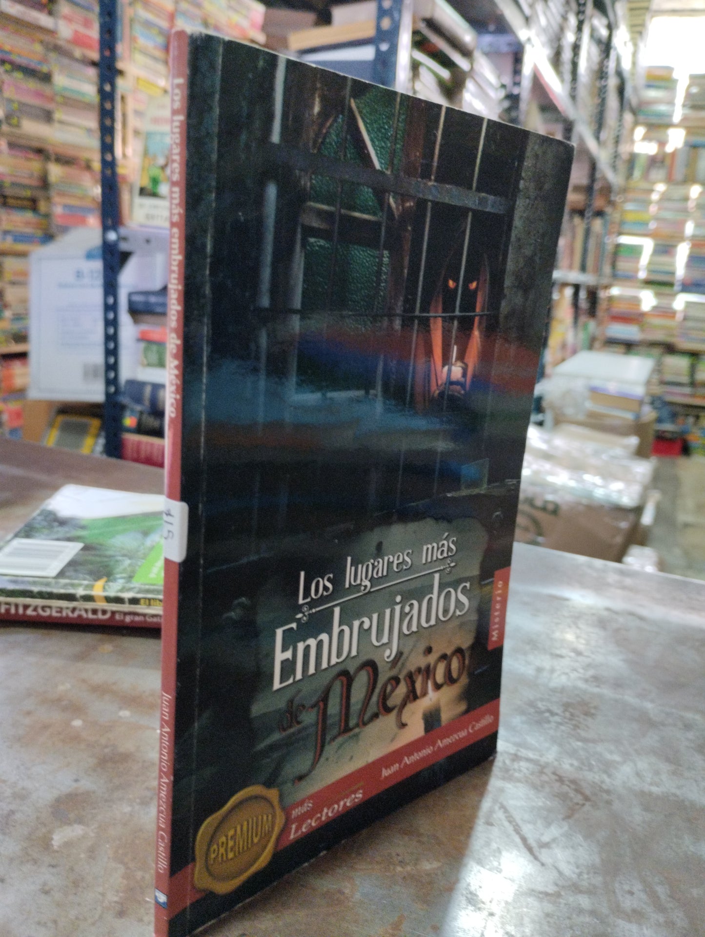 LOS LUGARES MAS EMBRUJADIS DE MEXICO USADO NOVELAS ALDAMA