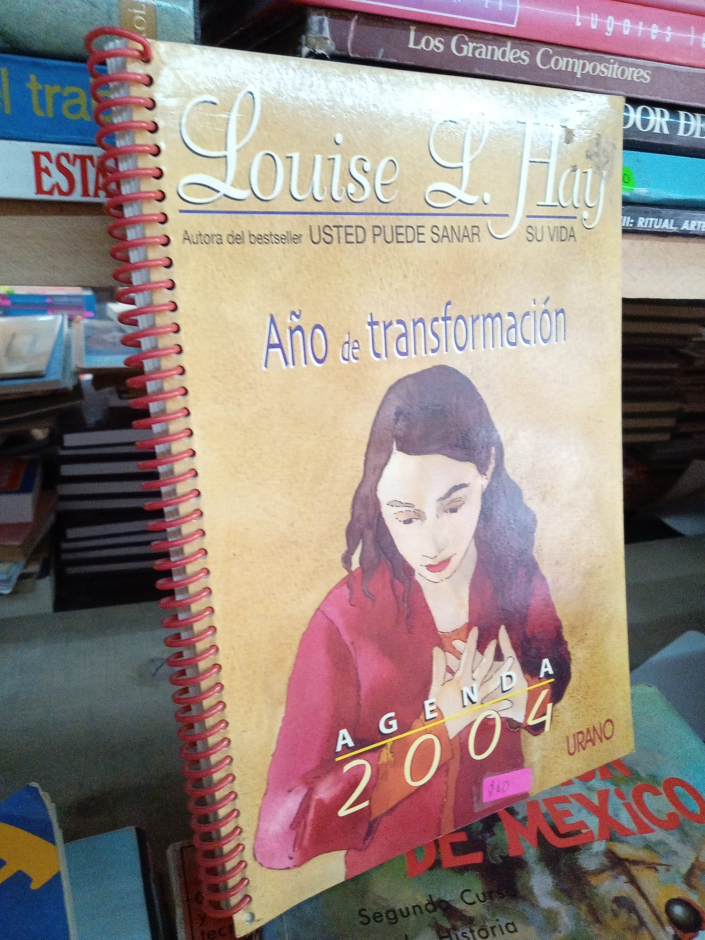 AÑO DE TRANSFORMACIÓN POR LOUISE L HAY USADO SUPERACION PERSONAL LITERARIO 207