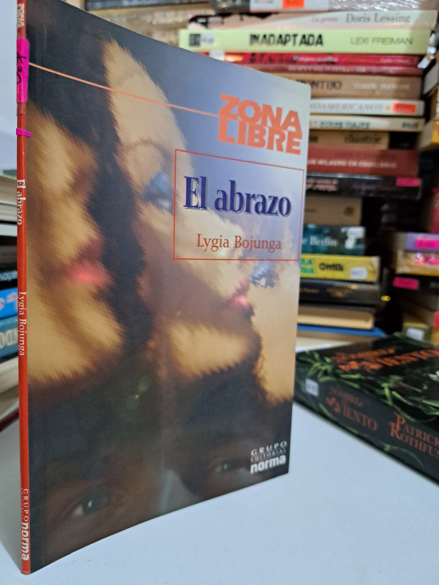 EL ABRAZO LYGIA BOJUNGA USADO NOVELA JUÁREZ