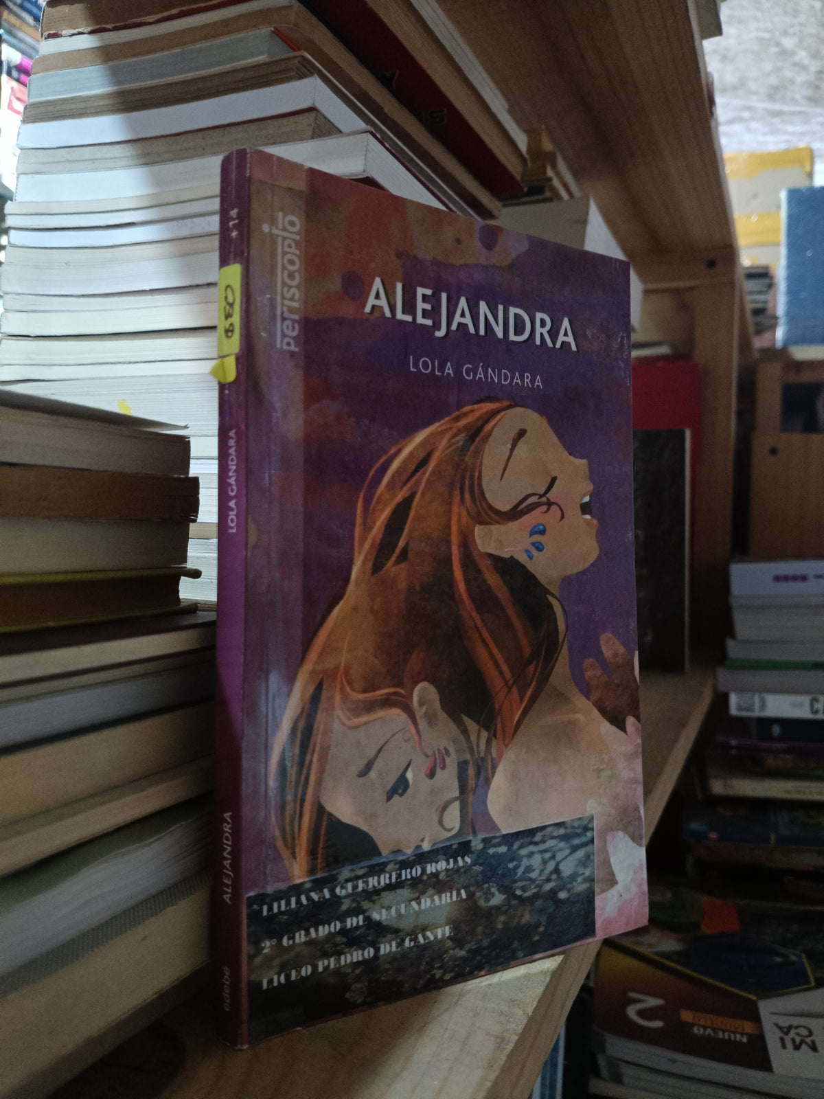 ALEJANDRA POR LOLA GANDARA USADO NOVELA ALDAMA