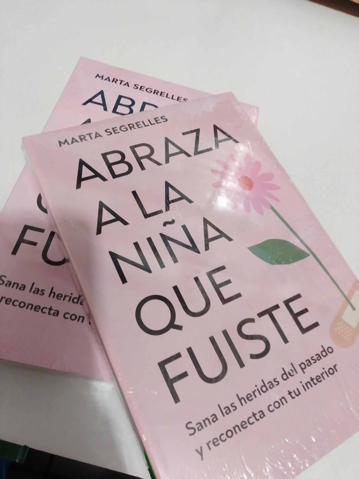 ABRAZA A LA NIÑA QUE FUISTE POR MARTA SEGRELLES NUEVO JUAREZ