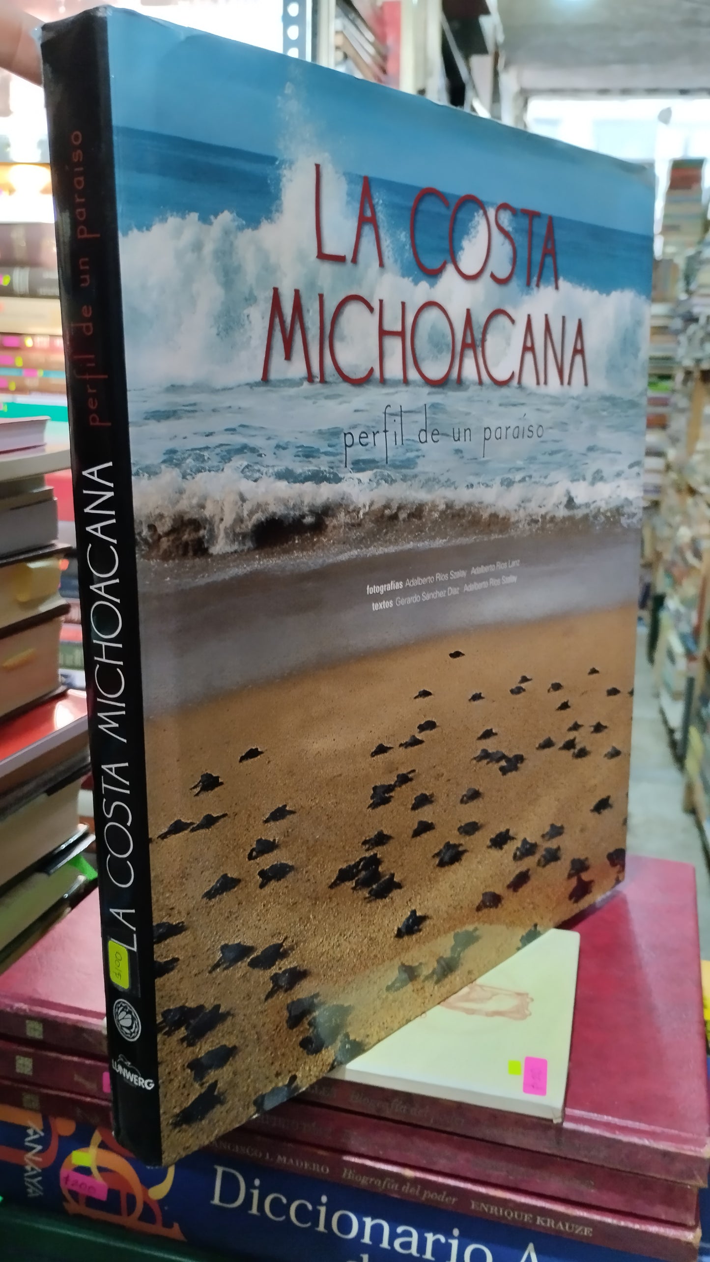 LA COSTA MICHOACANA LIBRO USADO GEOGRAFÍA ALDAMA