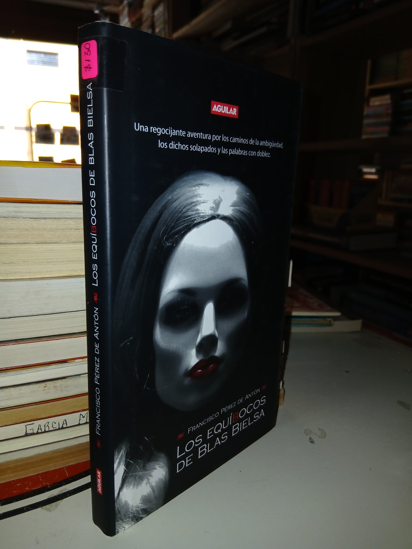 LOS EQUÍBOCOS DE BLAS BIELSA POR FRANCISCO PÉREZ DE ANTÓN USADO NOVELA LITERARIO 207