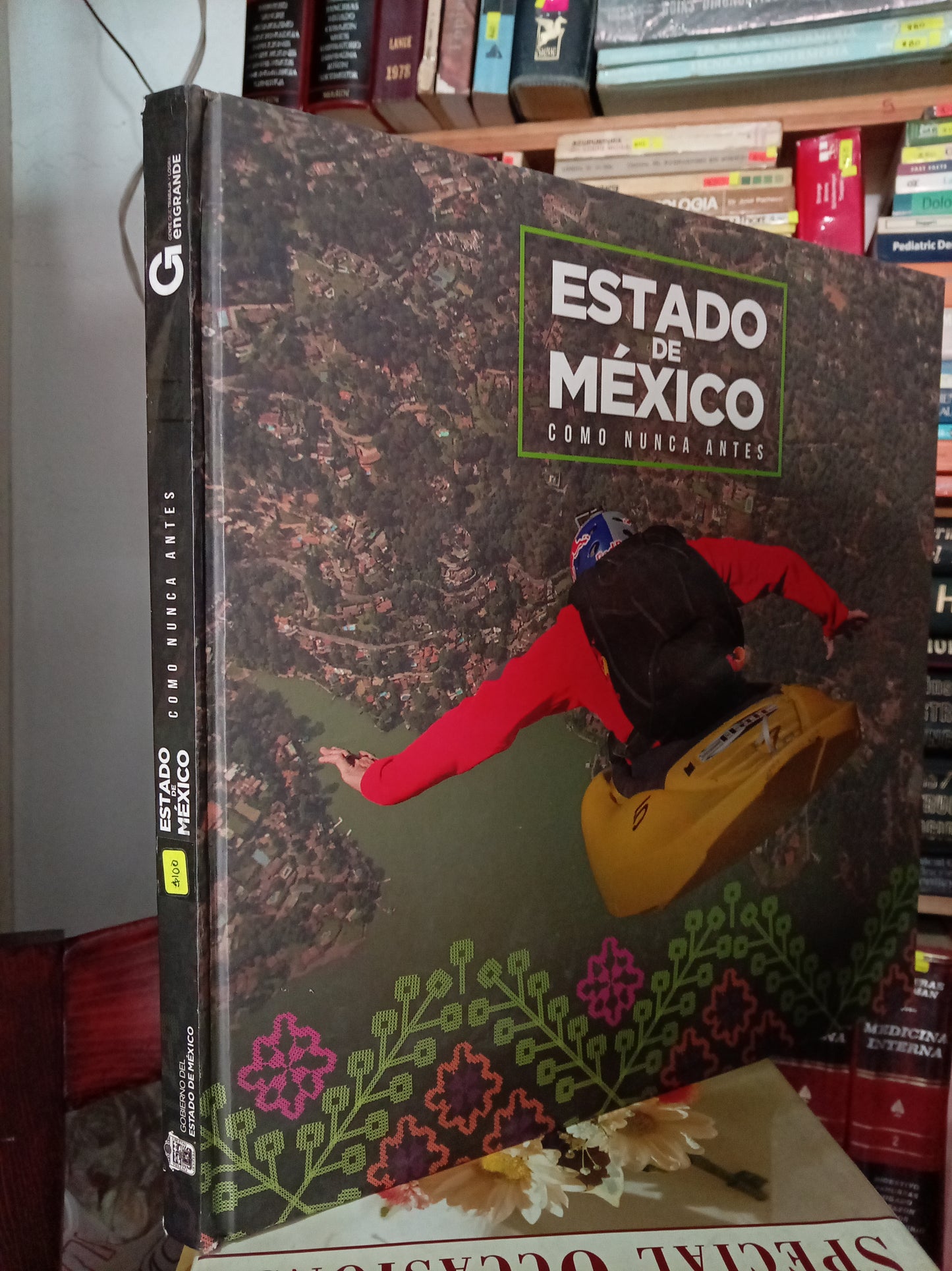 ESTADO DE MEXICO COMO NUNCA ANTES USADO HISTORIA LITERARIO 305