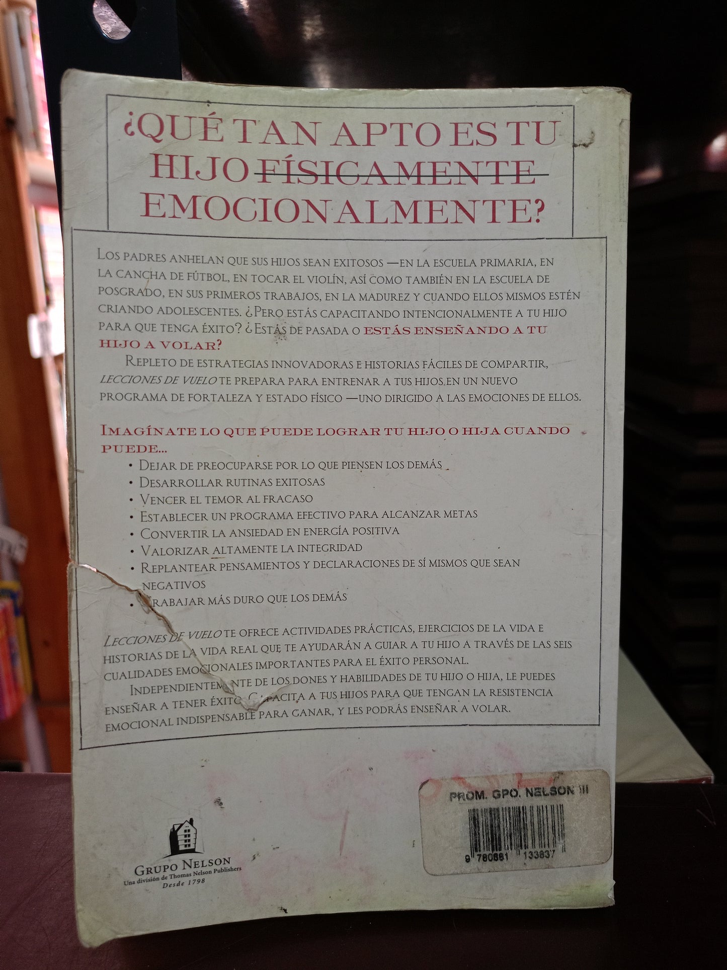 LECCIONES DE VUELO POR GREGG STEINBERG USADO PSICOLOGÍA LITERARIO 305
