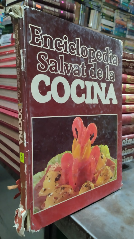 ENCICLOPEDIA SALVAT DE LA COCINA 4 LIBRO USADO COCINA ALDAMA