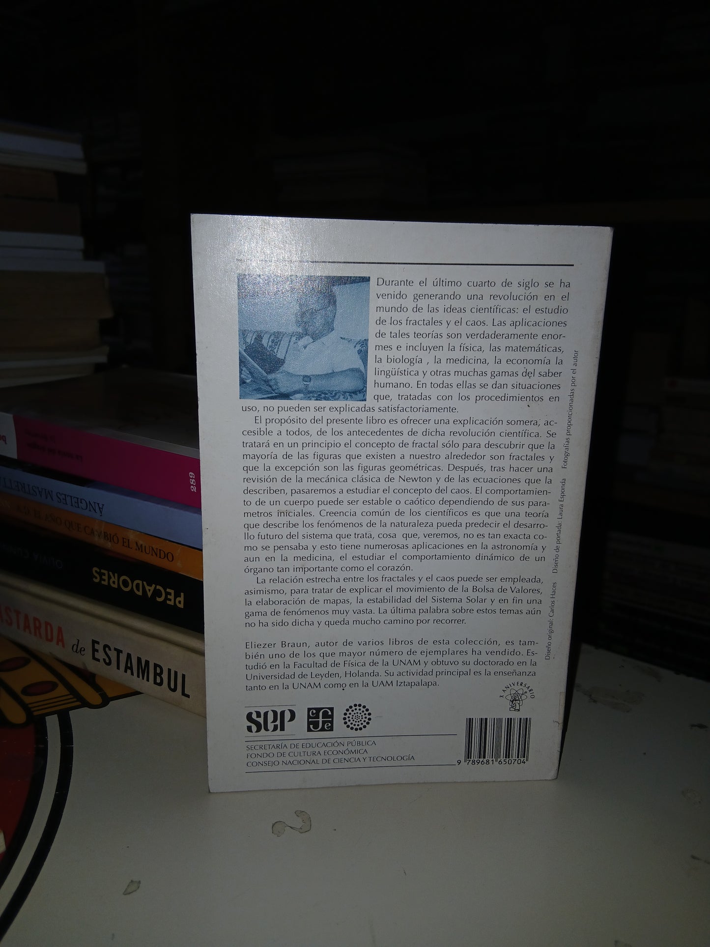 CAOS, FRACTALES Y COSAS RARAS POR ELIEZER BRAUN USADO CIENCIA LITERARIO 207