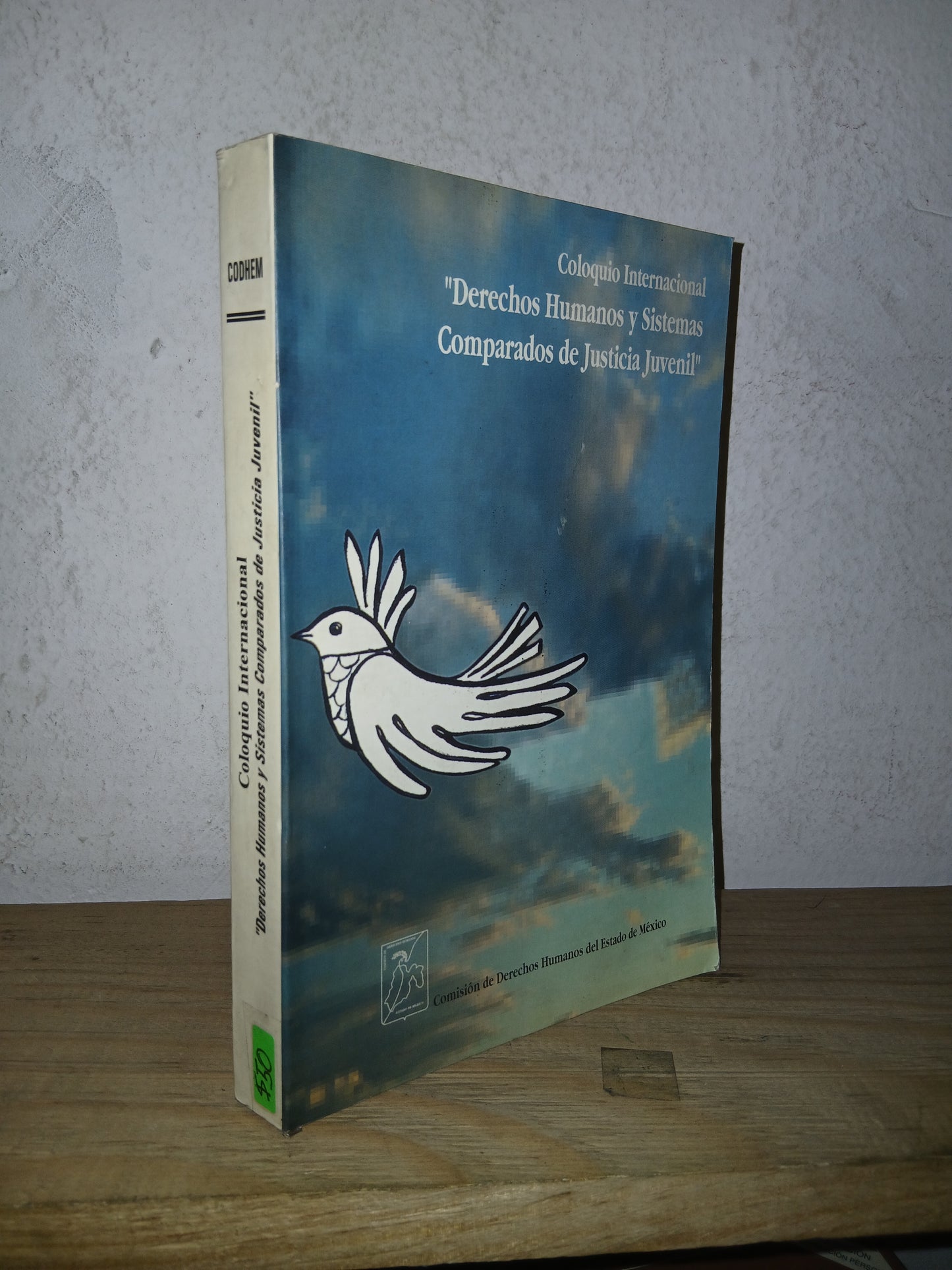 COLOQUIO INTERNACIONAL "DERECHOS HUMANOS Y SISTEMAS DE JUSTICIA JUVENIL" (VARIOS AUTORES) USADO DERECHO LITERARIO 207