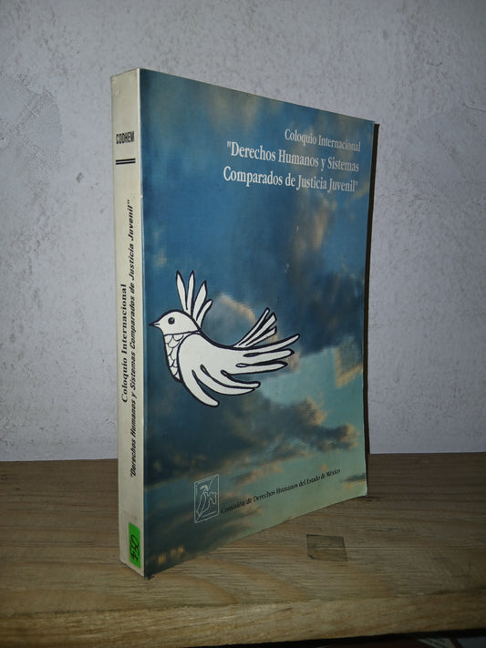 COLOQUIO INTERNACIONAL "DERECHOS HUMANOS Y SISTEMAS DE JUSTICIA JUVENIL" (VARIOS AUTORES) USADO DERECHO LITERARIO 207