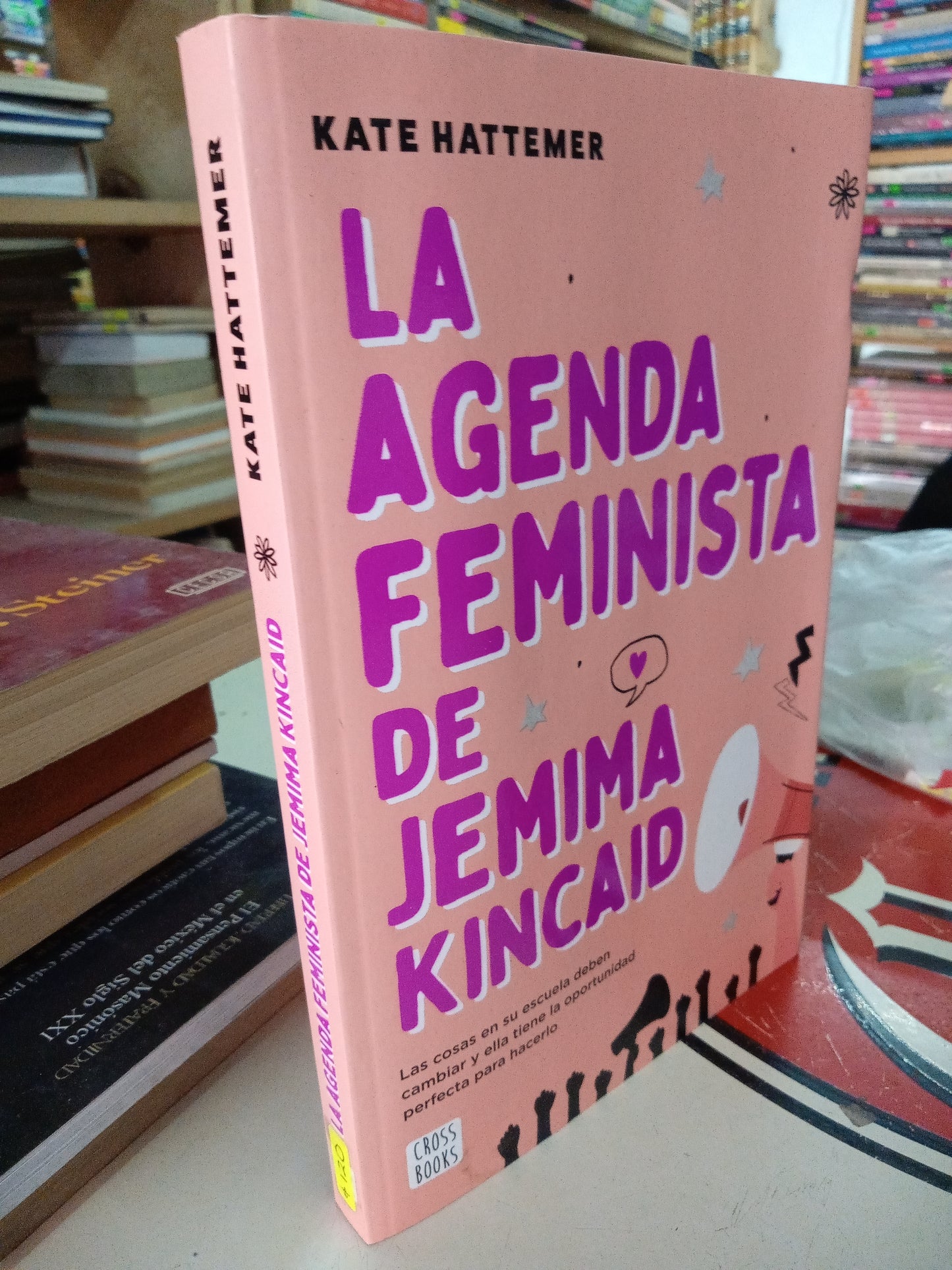 LA AGENDA FEMINISTA DE JEMIMA KINCAID POR KATE HATTEMER USADO NOVELA LITERARIO 207