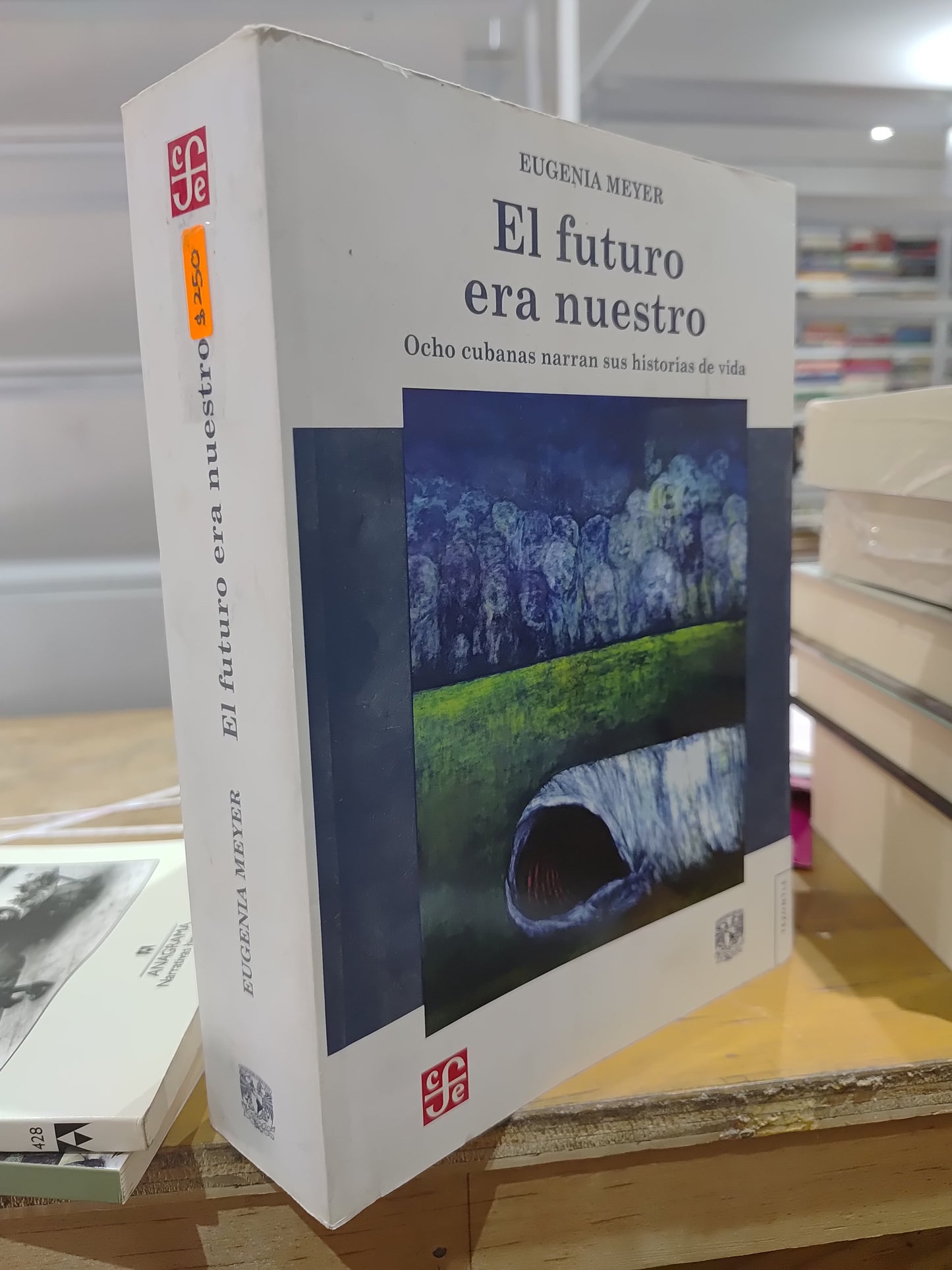 EL FUTURO ERA NUESTRO POR EUGENIA MEYER USADO NOVELAS JUAREZ 515