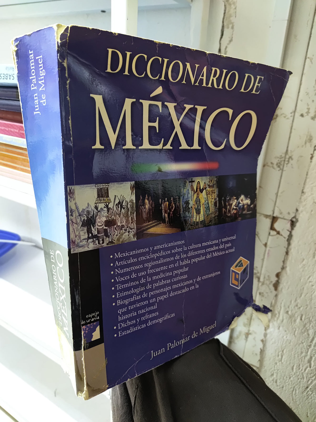DICCIONARIO DE MEXICO POR JUAN PALOMAR DE MIGUEL USADO EDUCACION JUAREZ 515
