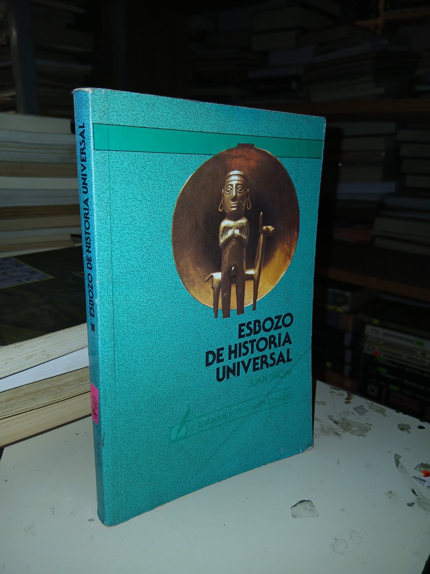ESBOZO DE HISTORIA UNIVERSAL POR JUAN BROM USADO HISTORIA LITERARIO 207