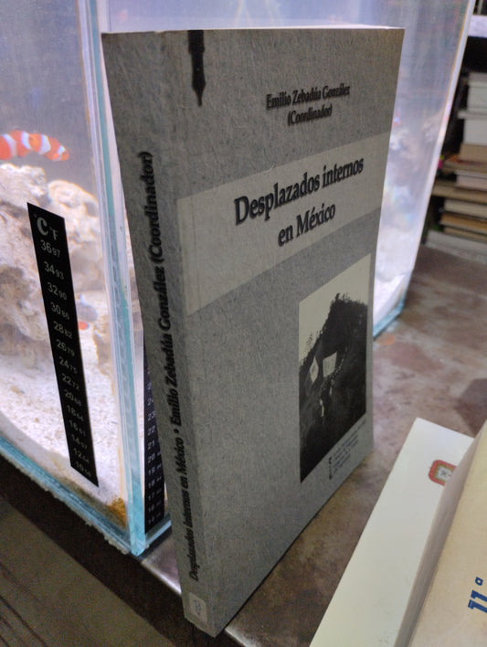 DEZPLAZADOS INTERNOS EN MEXICO POR EMILIO ZEBAFUA GONZALEZ USADO SOCIOLOGIA ALDAMA