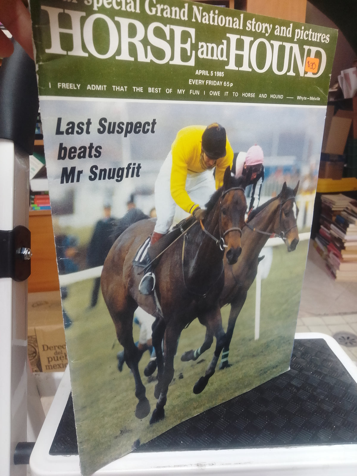 HORSE AND HOUND LAST SUSPECT BEATS MR SNUGFIT USADO BIOLOGIA JUAREZ 515