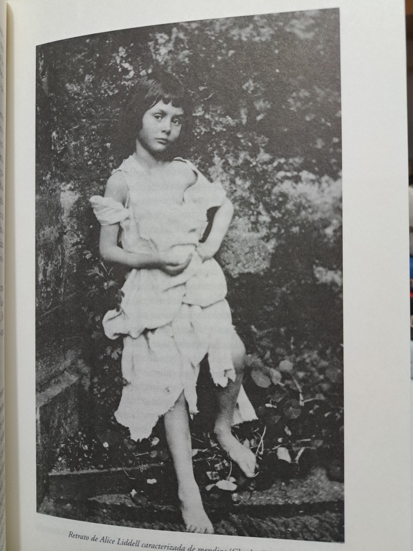VIDA DE LAS MUSAS FRANCINE PROSE USADO NOVELA JUÁREZ