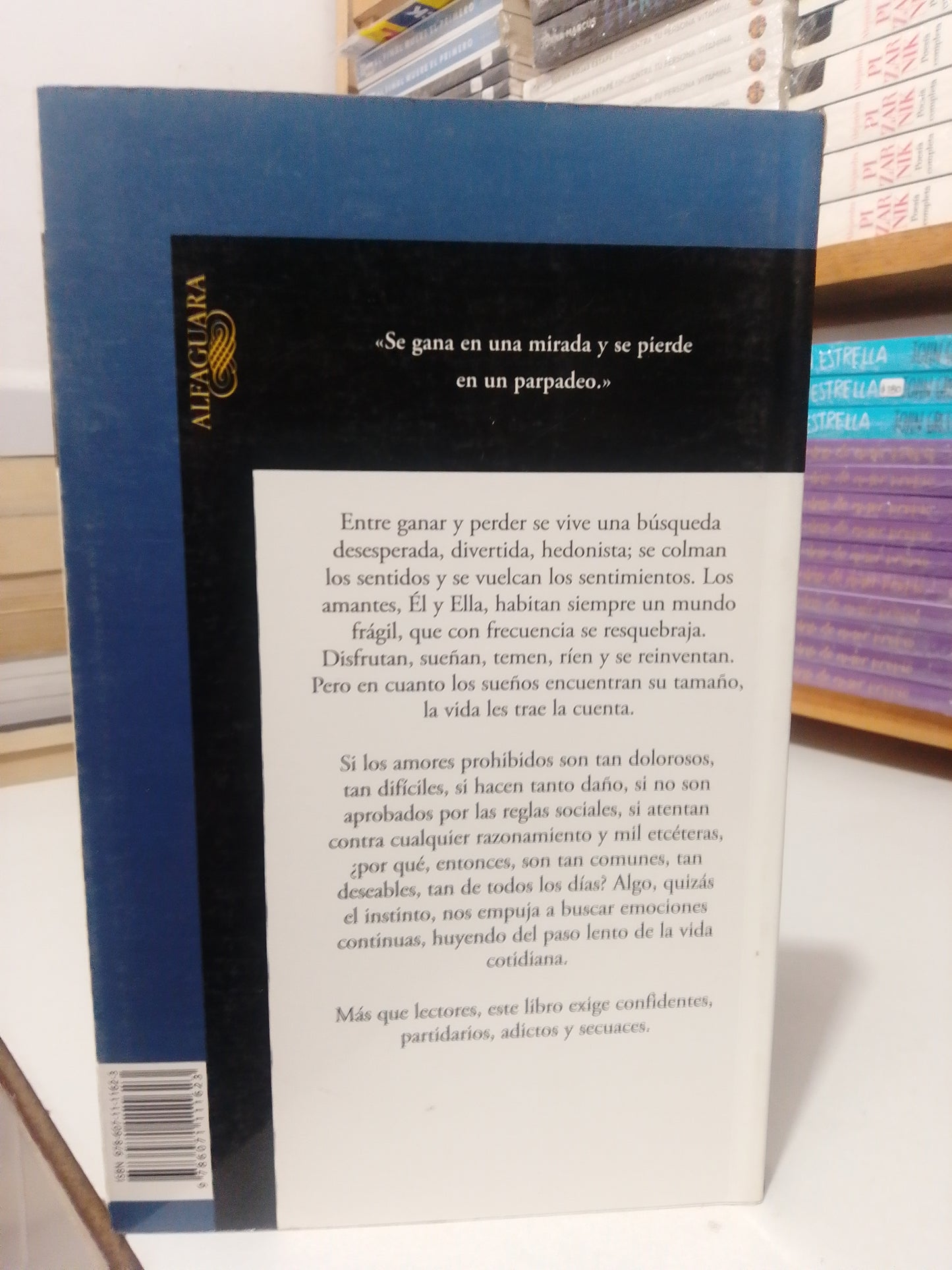 AMORES ADULTEROS EL FINAL POR BEATRIZ RIVAS Y FEDERICO TRAEGER USADO NOVELA JUAREZ
