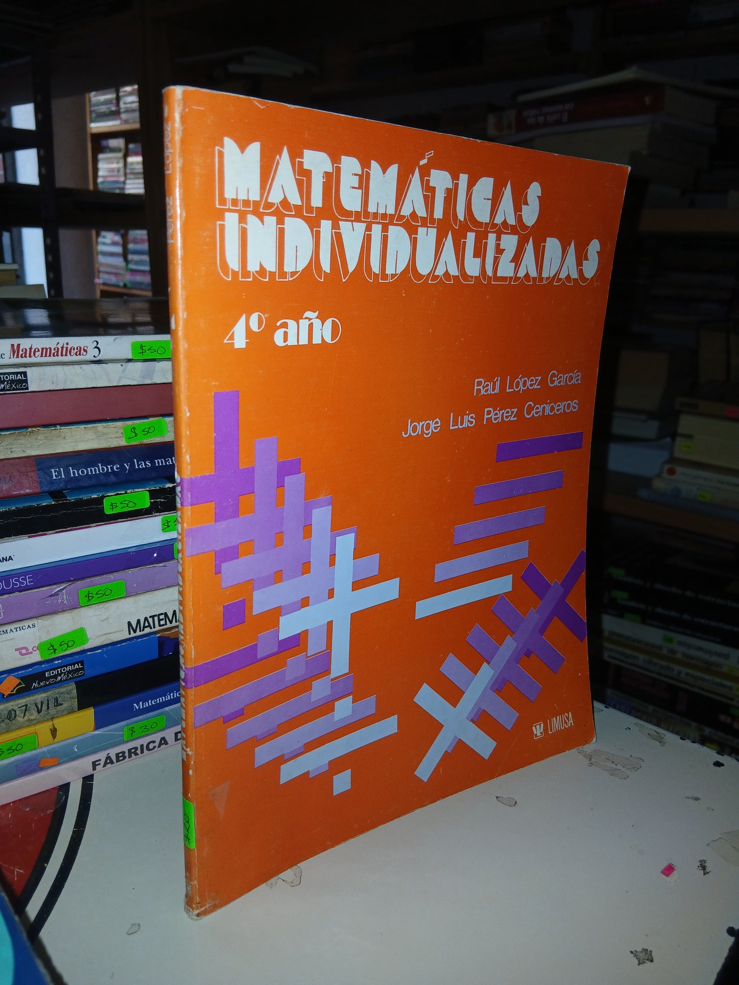 MATEMÁTICAS INDIVIDUALIZADAS POR RAÚL LÓPEZ GARCÍA Y JORGE LUIS PÉREZ CENICEROS USADO MATEMÁTICAS LITERARIO 207