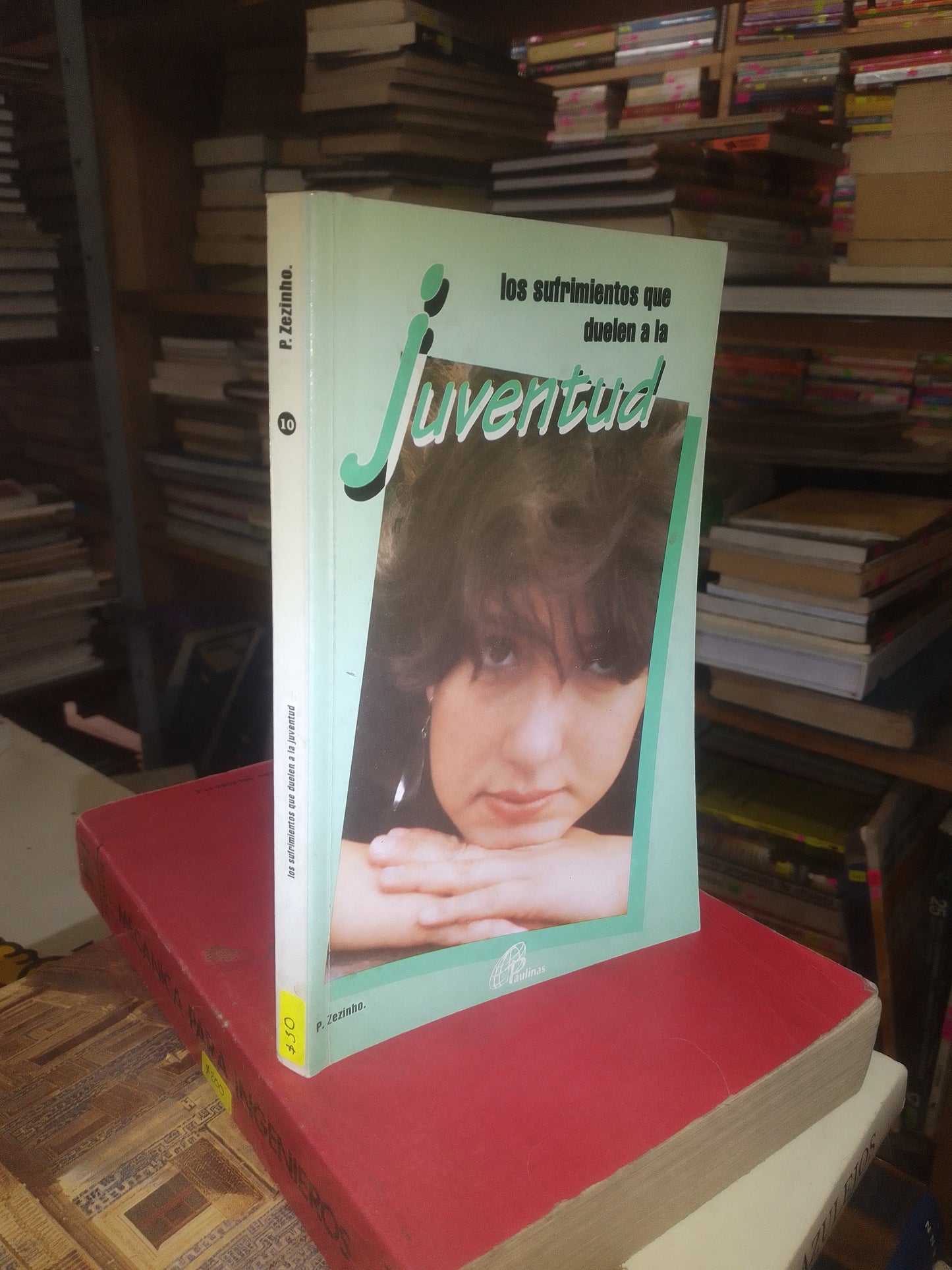 LOS SUFRIMIENTOS QUE LE DUELEN A LA JUVENTUD POR P. ZEZINHO USADO PSICOLOGIA LITERARIO 207