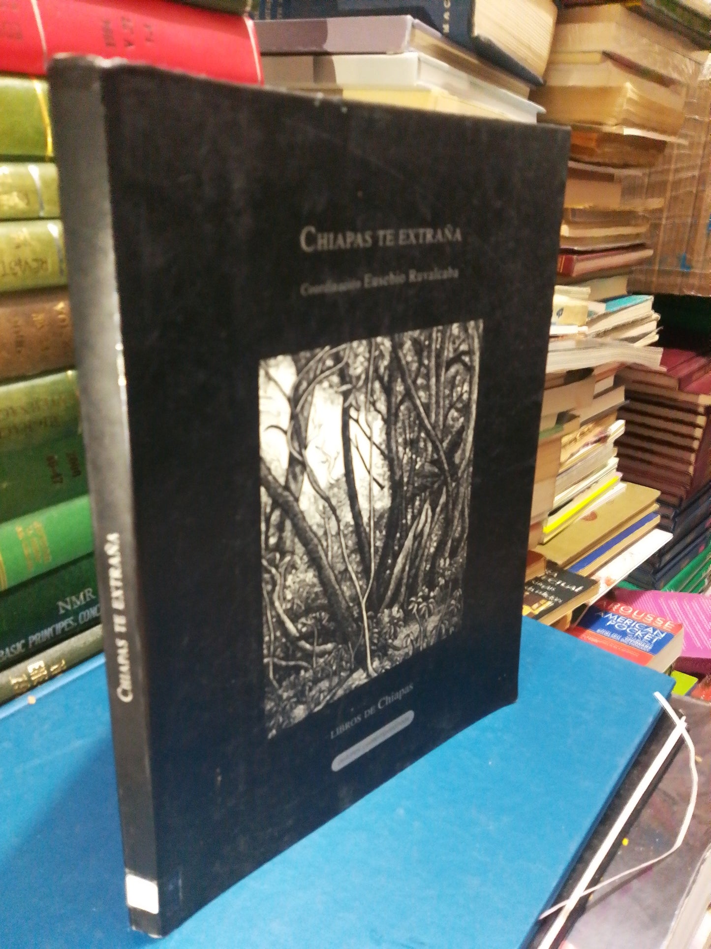 CHIAPAS TE EXTRAÑA POR EUSEBIO RUVALCABA USADO NOVELA JUÁREZ