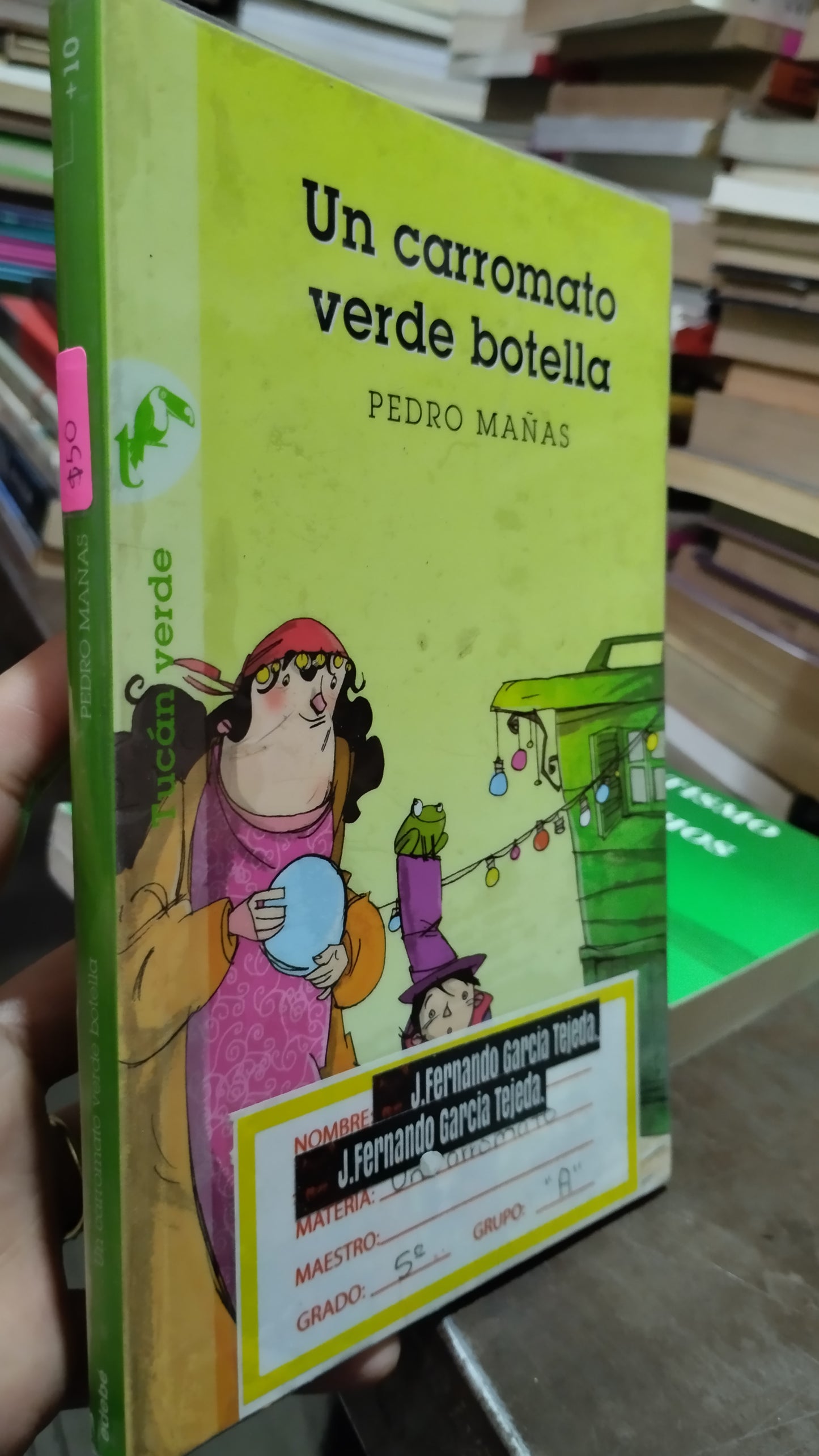 UN CARROMATO VERDE BOTELLA POR PEDRO MAÑAS LIBRO USADO INFANTIL ALDAMA