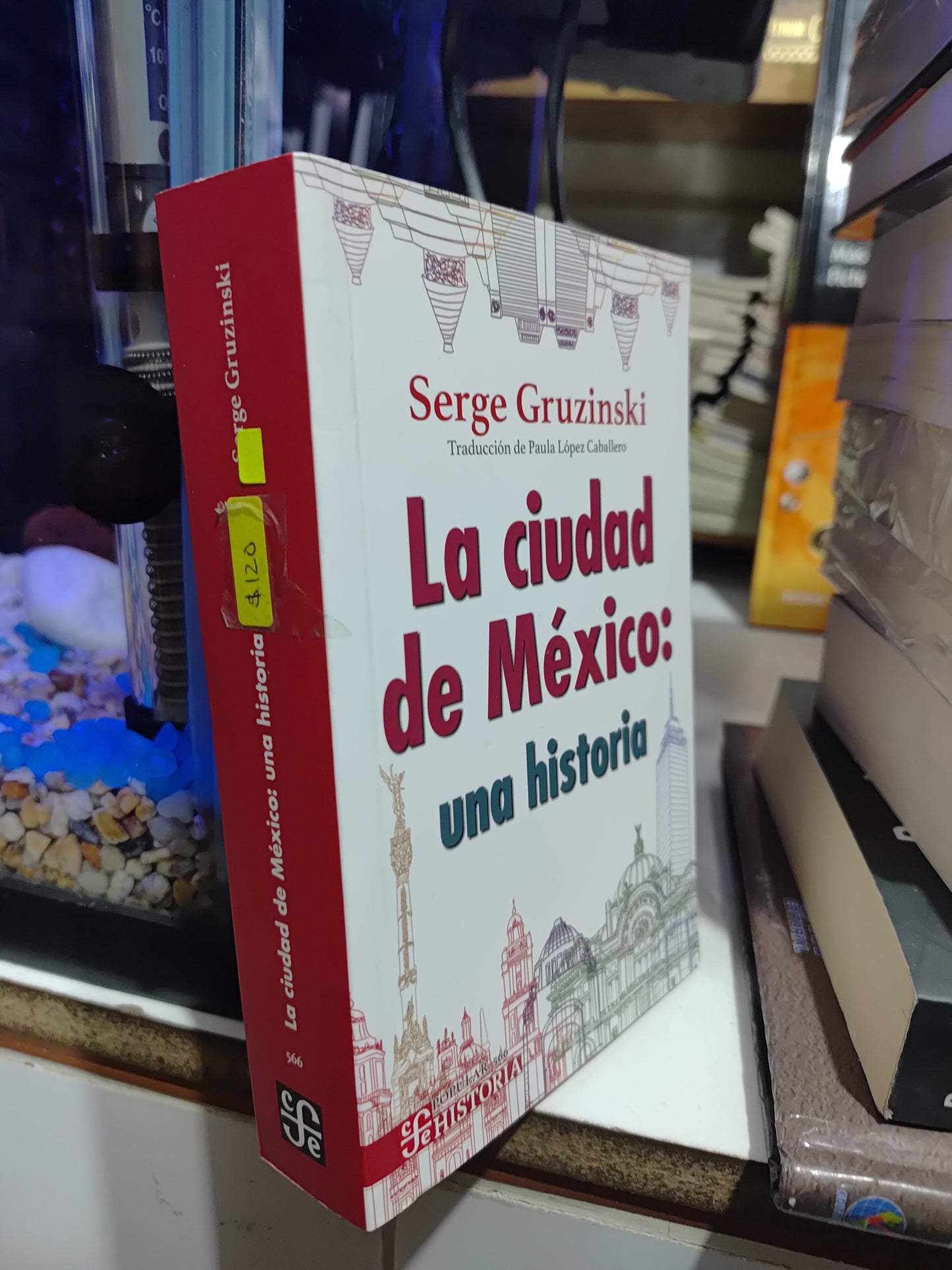 LA CIUDAD DE MEXICO POR SERGE GRUZINSKI USADO HISTORIA JUAREZ