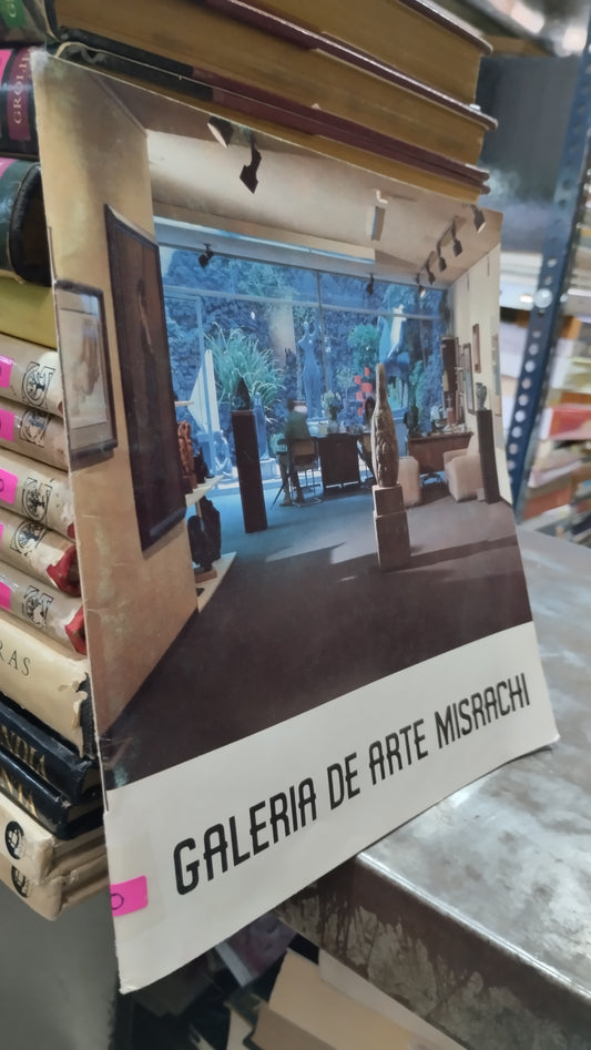 GALERIA DE ARTE MISRACHI LIBRO USADO ARTE ALDAMA
