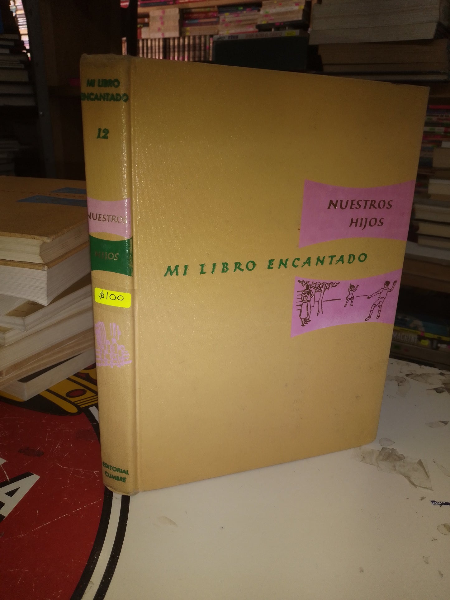 MI LIBRO ENCANTADO 12: NUESTROS HIJOS USADO INFANTIL LITERARIO 207