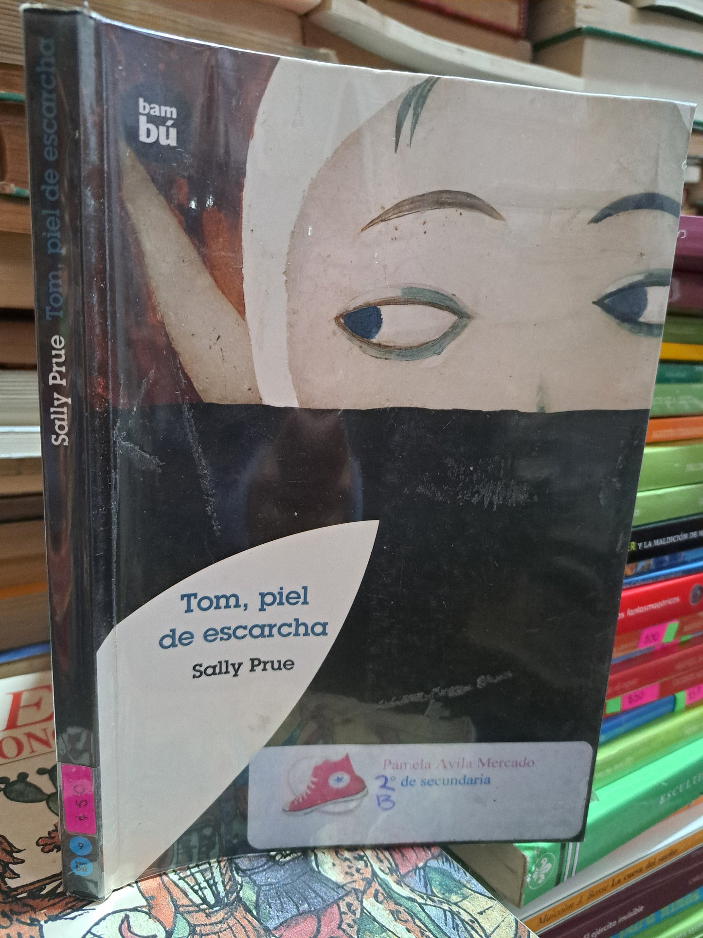 TOM, PIEL DE ESCARCHA SALLY PRUE USADO INFANTIL ALDAMA