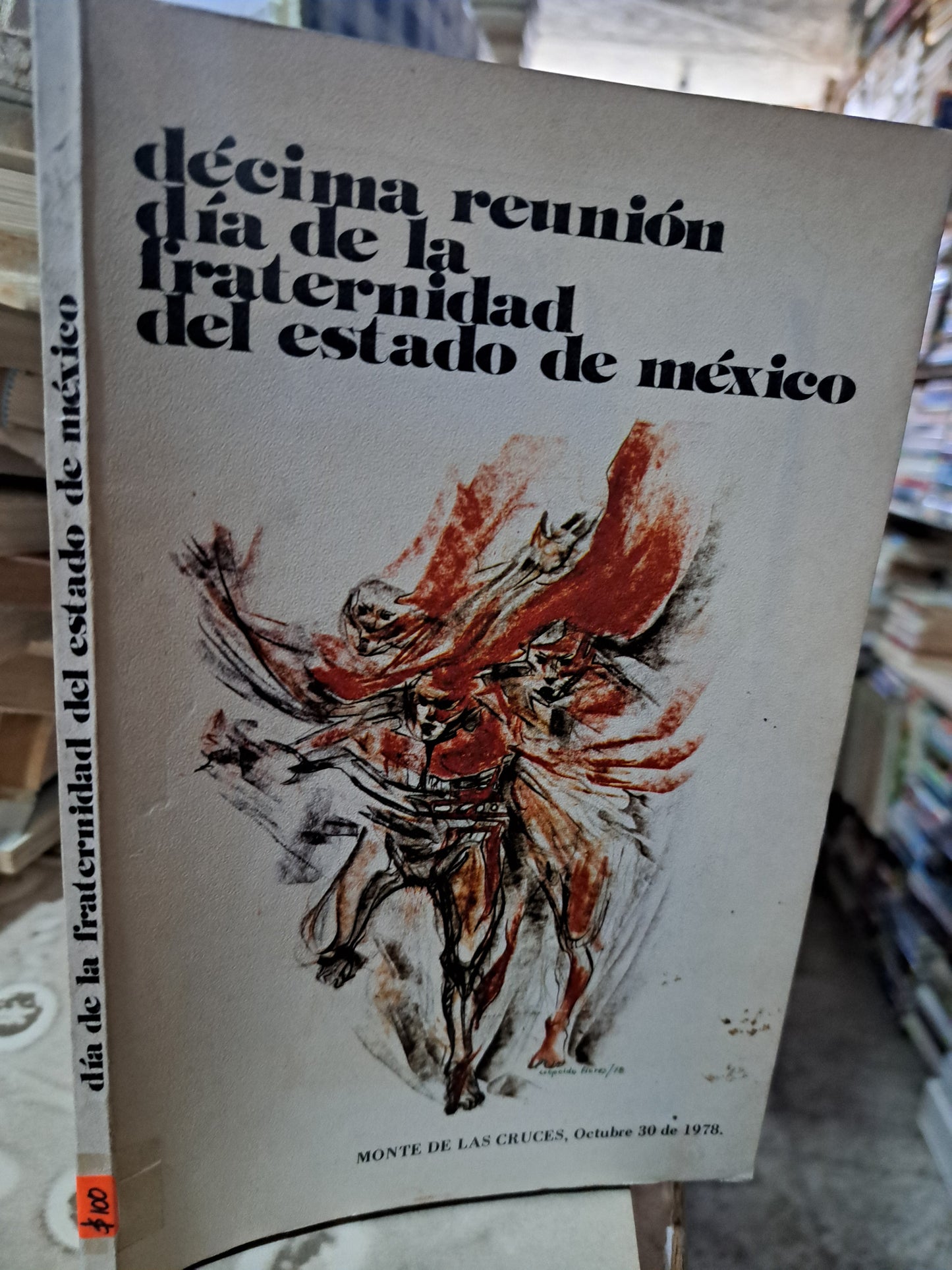 DÉCIMA REUNIÓN DÍA DE LA FRATERNIDAD DEL ESTADO DE MÉXICO USADO ESTADO DE MÉXICO ALDAMA