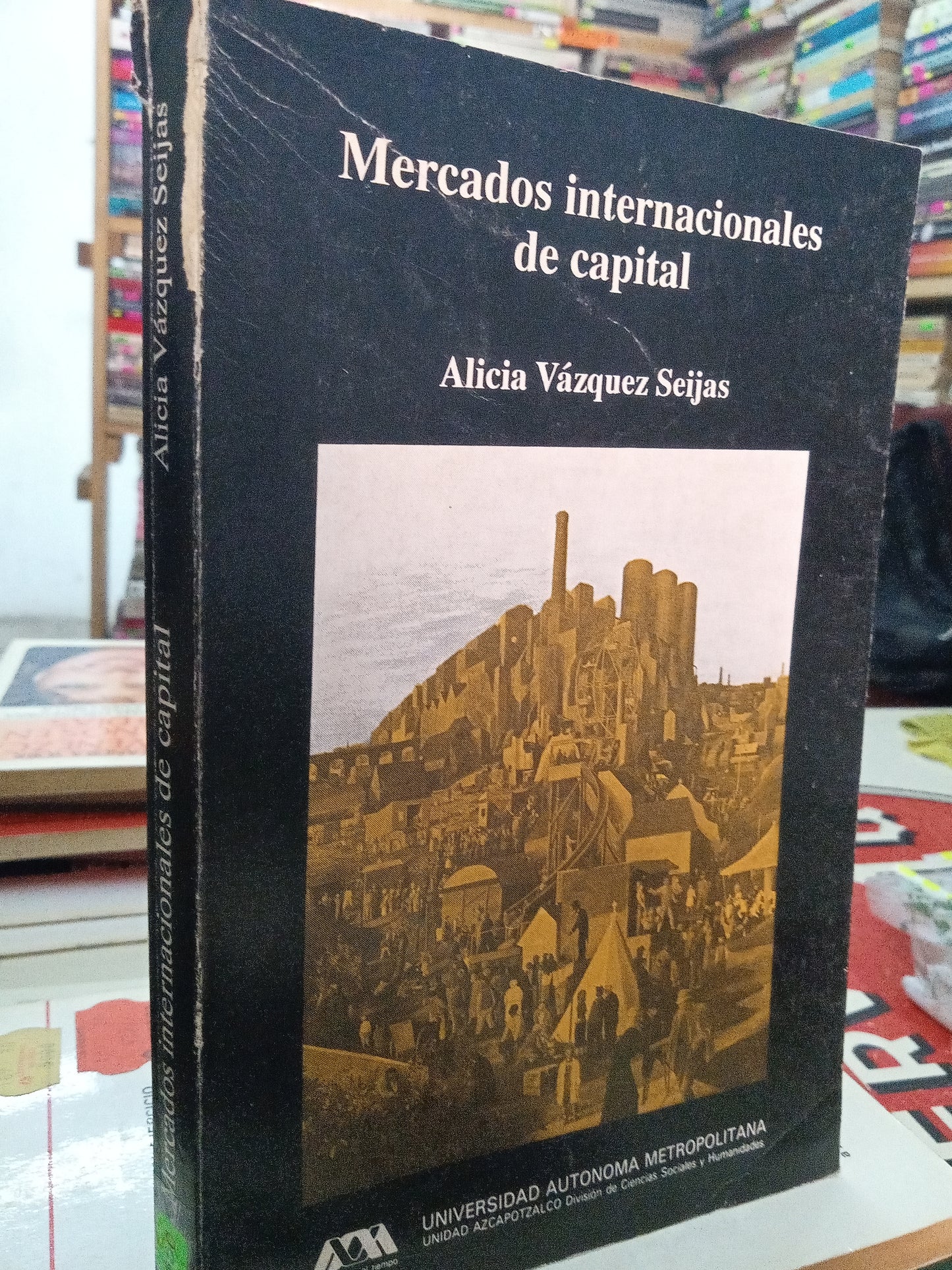 MERCADOS INTERNACIONALES DE CAPITAL POR ALICIA VAZQUEZ SEIJAS ADMINISTRACION LITERARIO 207
