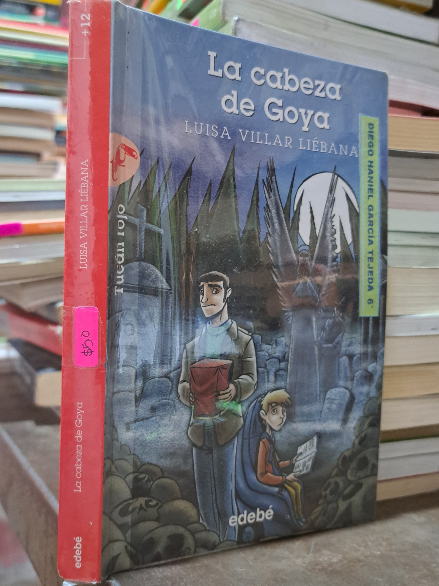 LA CABEZA DE GOYA LUISA VILLAR LIÉBANA USADO INFANTIL ALDAMA