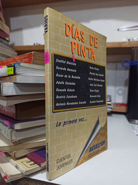 DIAS DE PINTA POR VARIOS AUTORES USADO EDUCACIÓN JUÁREZ
