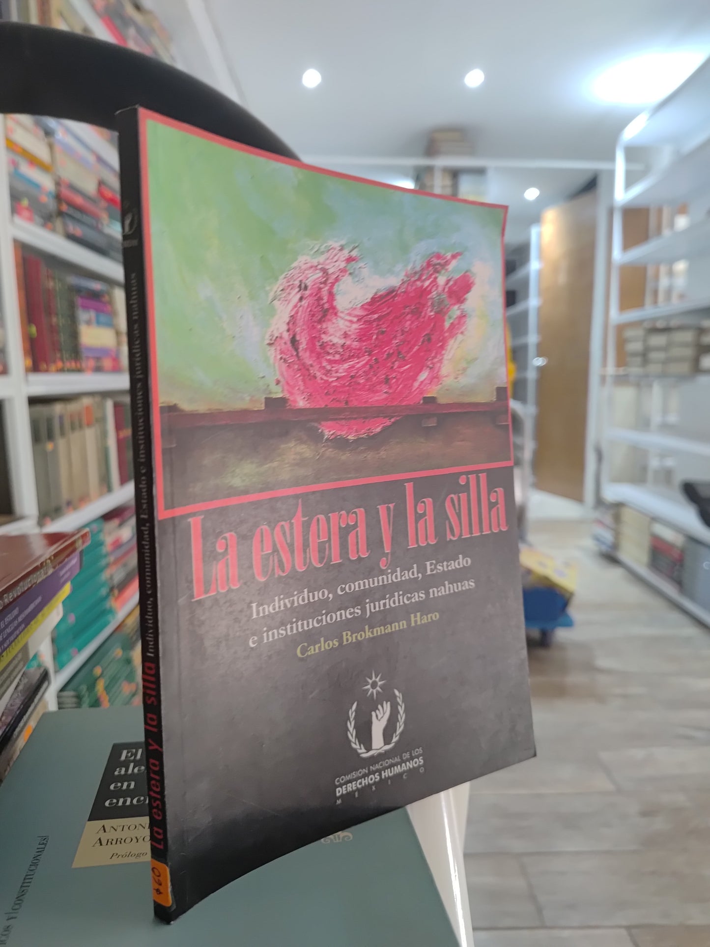 LA ESTERA Y LA SILLA POR CARLOS BROKMANN HARO USADO SOCIOLOGIA JUAREZ 515