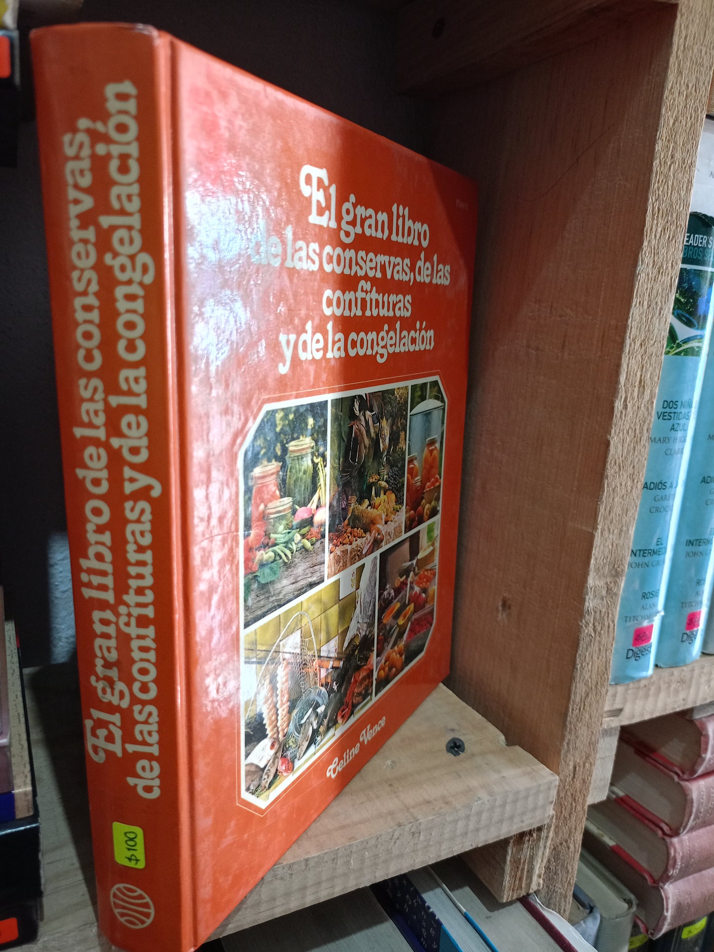 EL GRAN LIBRO DE LAS CONSERVAS DE LAS CONFITURAS Y DE LA CONGELACION POR CELINE VENCE USADO COCINA LITERARIO #305