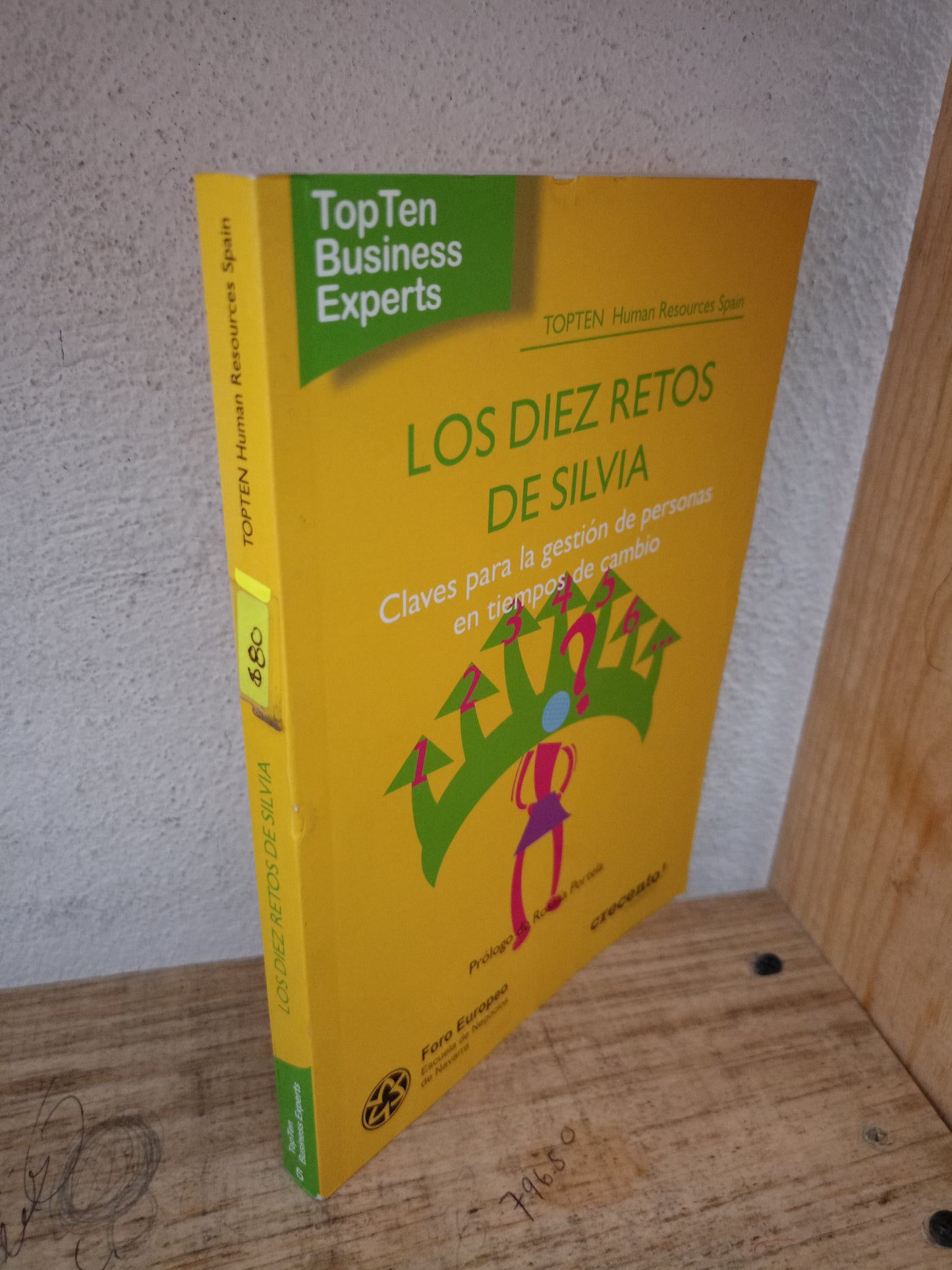 LOS DIEZ RETOS DE SILVIA POR TOPTEN HUMAN RESOURCES SPAIN