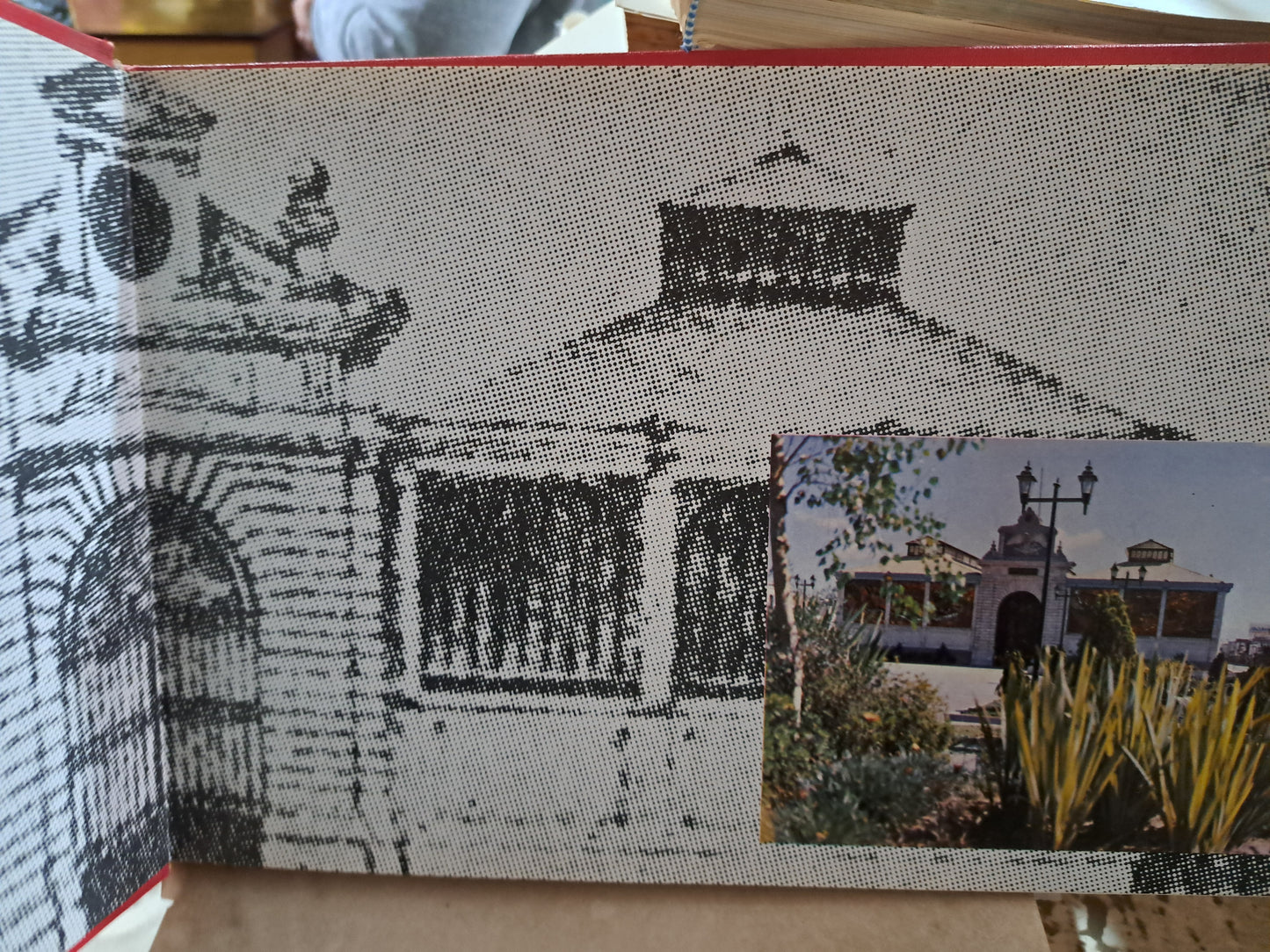 COSMO VITRAL TOLUCA USADO ESTADO DE MÉXICO ALDAMA