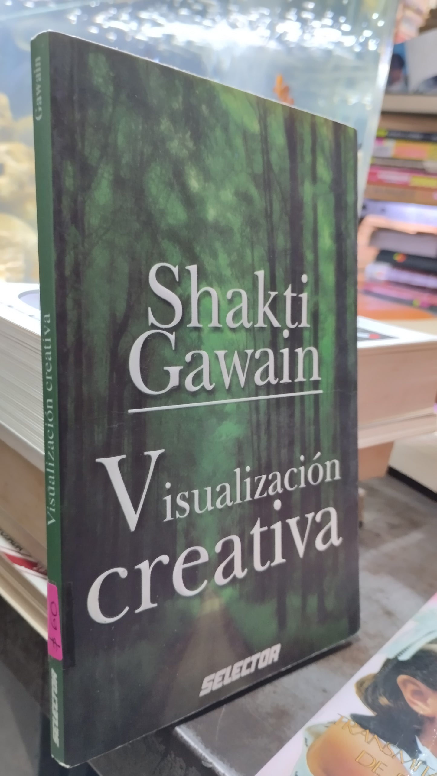 VISUALIZACION CREATIVA POR SHAKTI GAWAIN LIBRO USADO SUPERACION PERSONAL ALDAMA