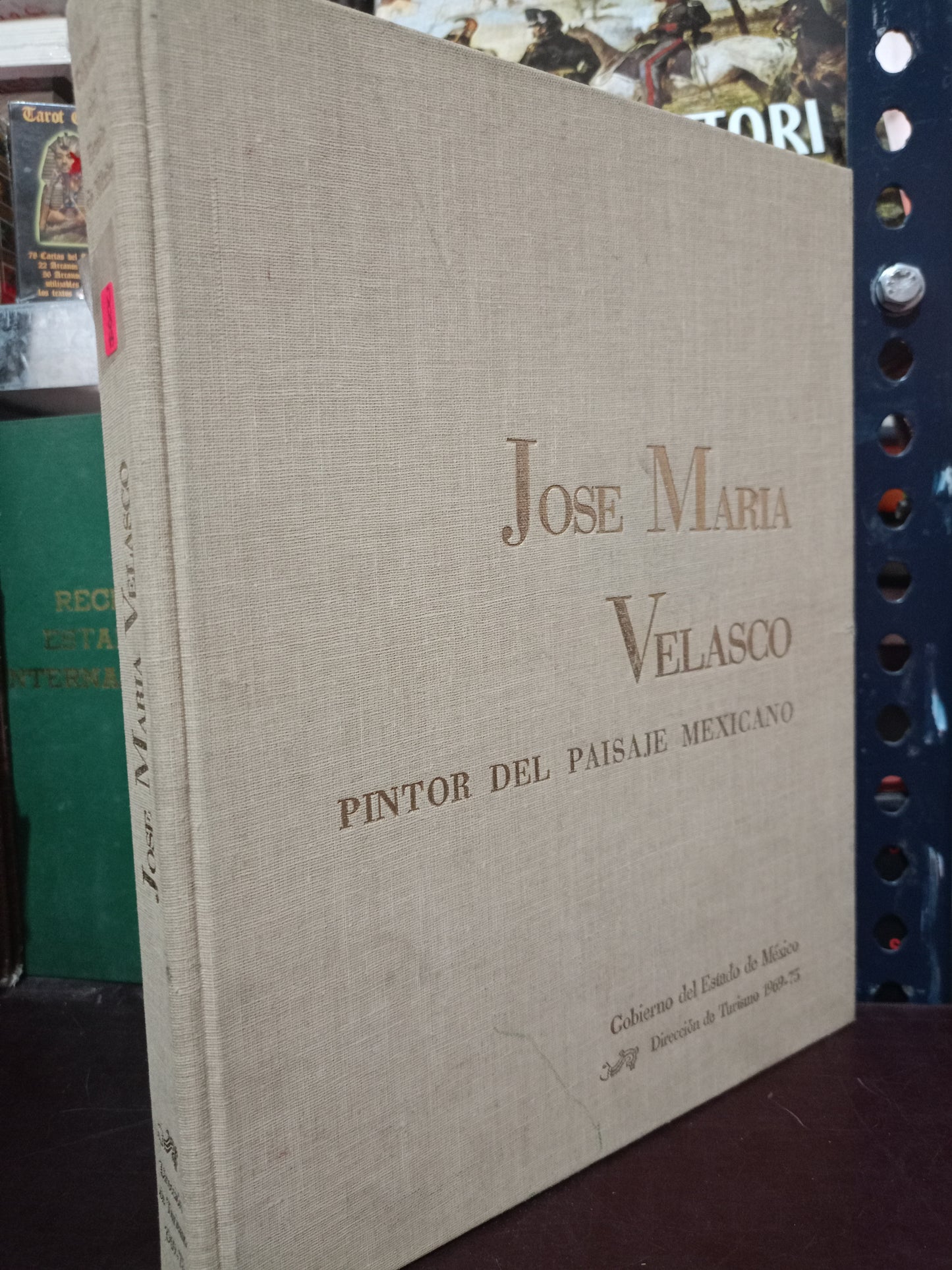 JOSE MARIA VELASCO PINTOR DEL PAISAJE MEXICANO USADO ARTE LITERARIO 305