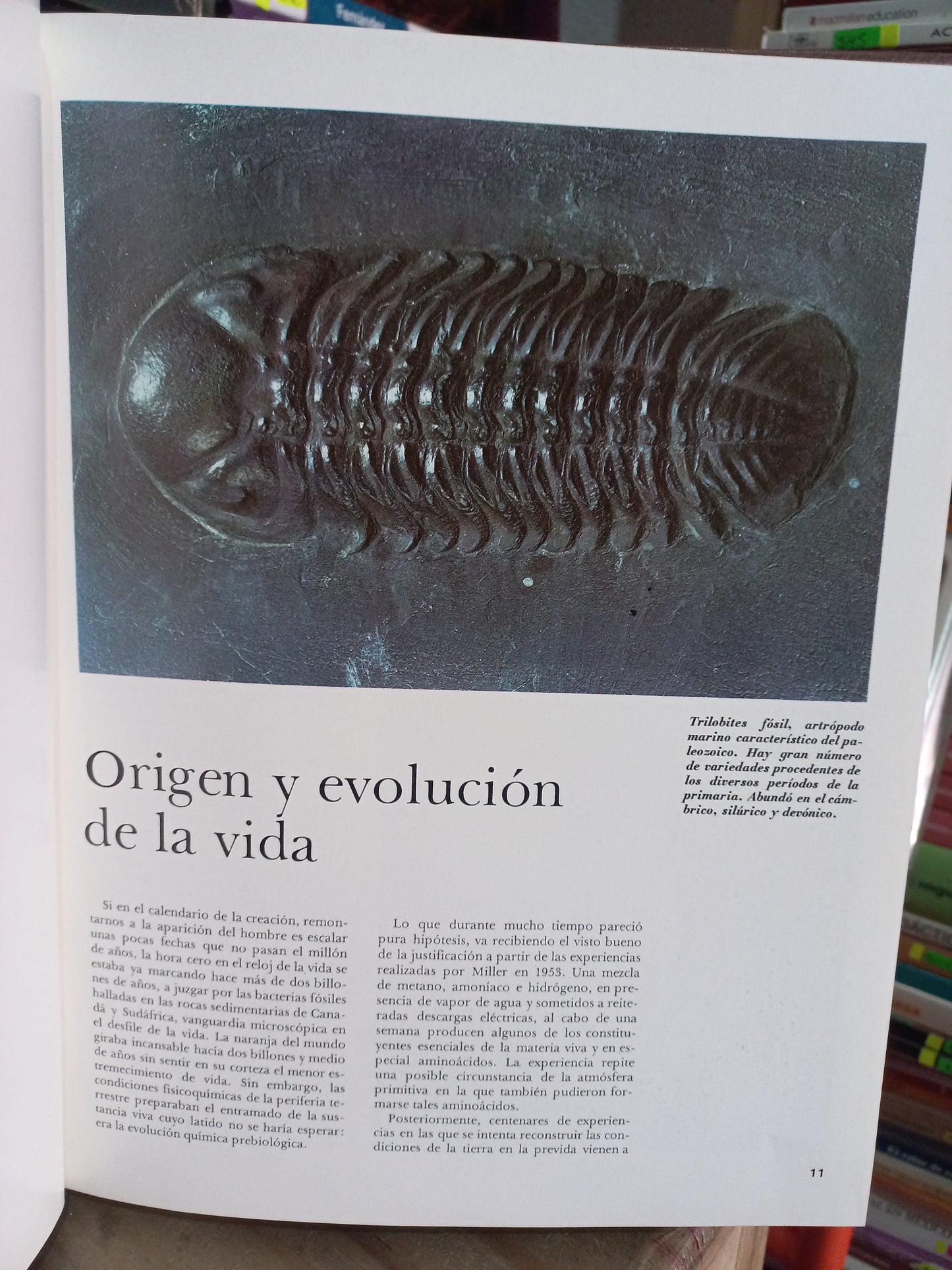 HISTORIA UNIVERSAL TOMO 1 POR JOSÉ PIOJAN USADO HISTORIA LITERARIO 305