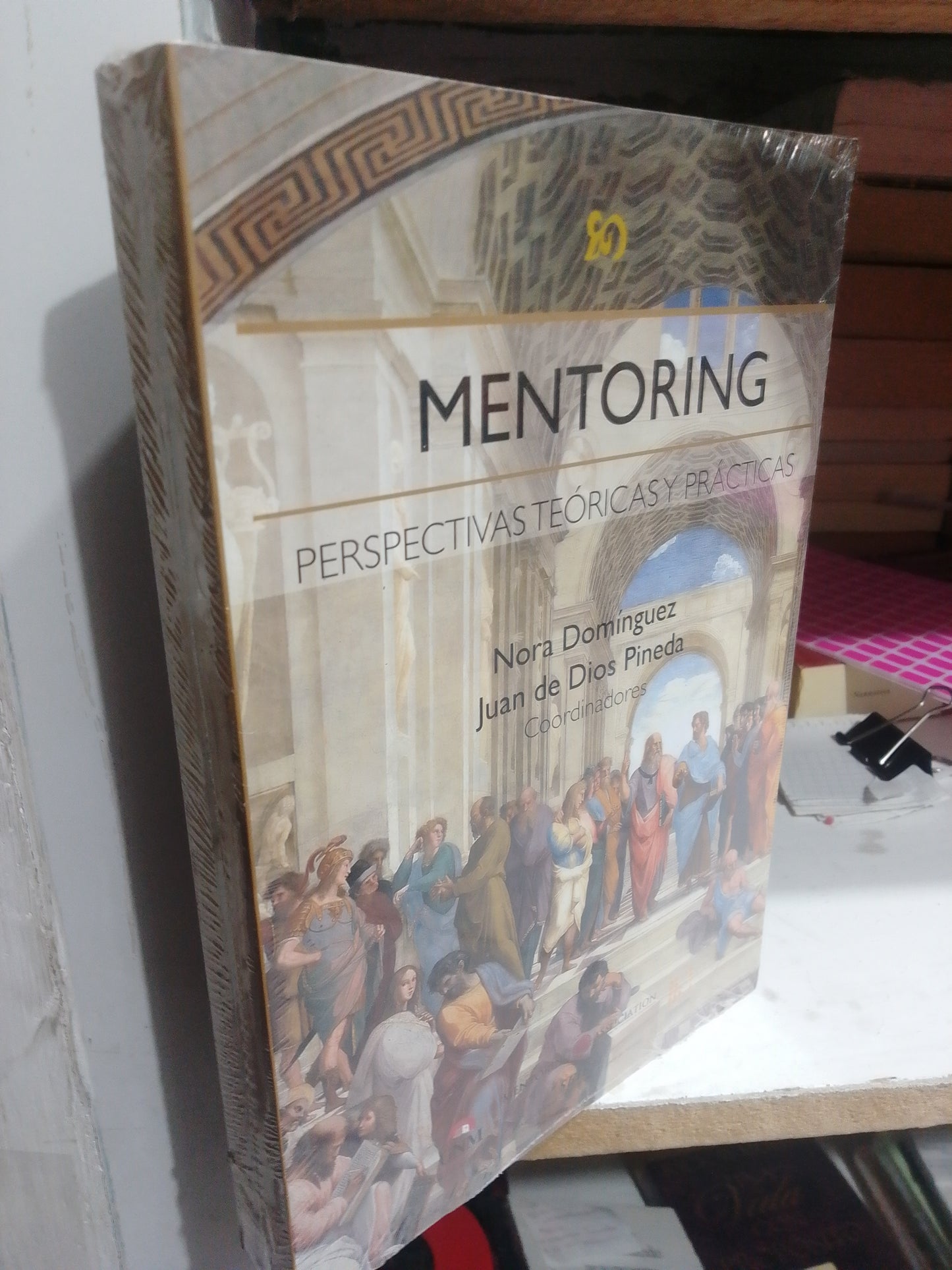 MENTORING PERSPECTIVAS TEORICAS Y PRACTICAS POR NORA DOMINGUEZ USADO HISTORIA JUAREZ