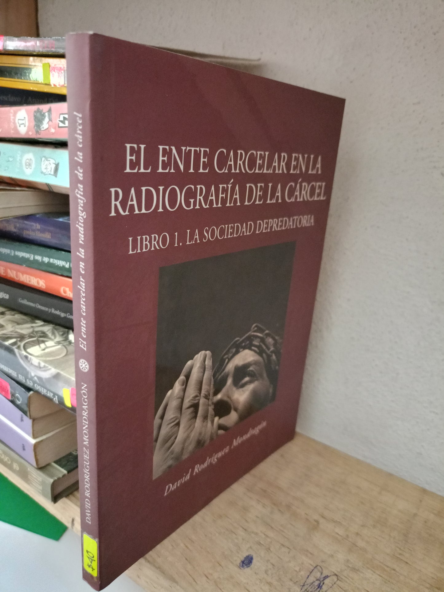 EL ENTE CARCELAR EN LA RADIOGRAFÍA DE LA CARCEL POR DAVID RODRIGUEZ USADO FILOSOFIA LITERARIO 305